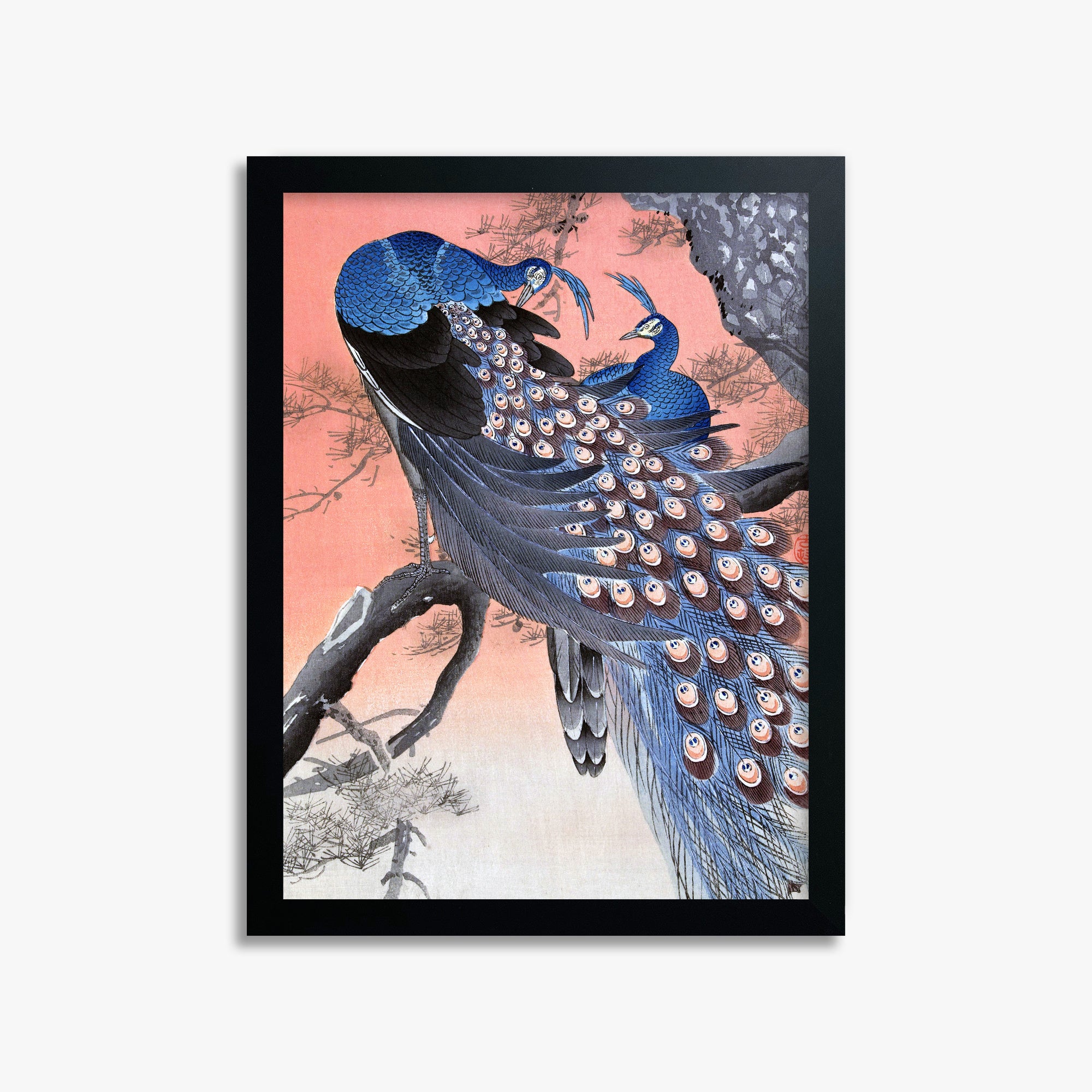Ohara Koson: Two Peacocks on Tree Branch, 30x40cm Framed Art Reproduction With Black Frame