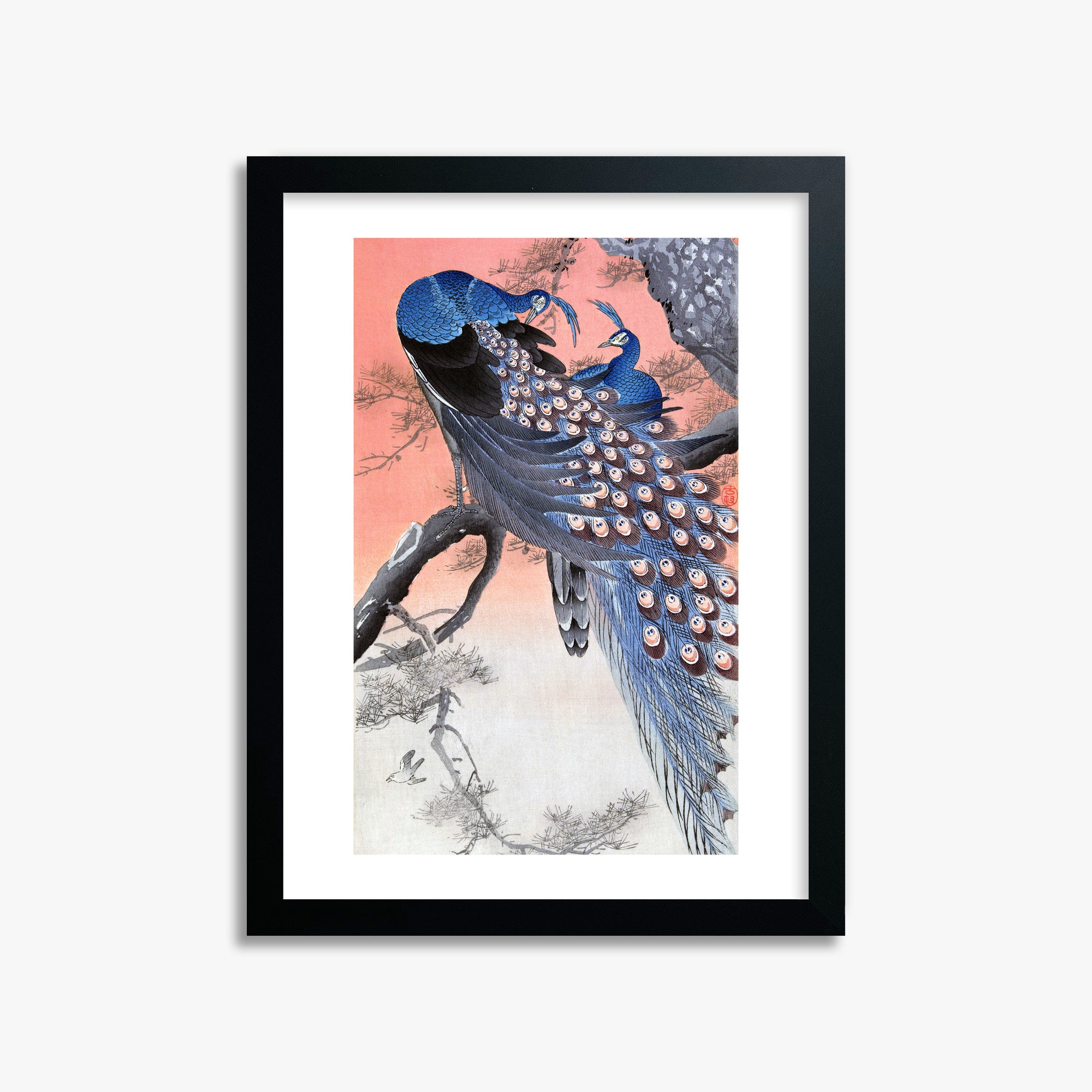 Ohara Koson: Two Peacocks on Tree Branch, 30x40cm Framed Art Reproduction With Black Frame