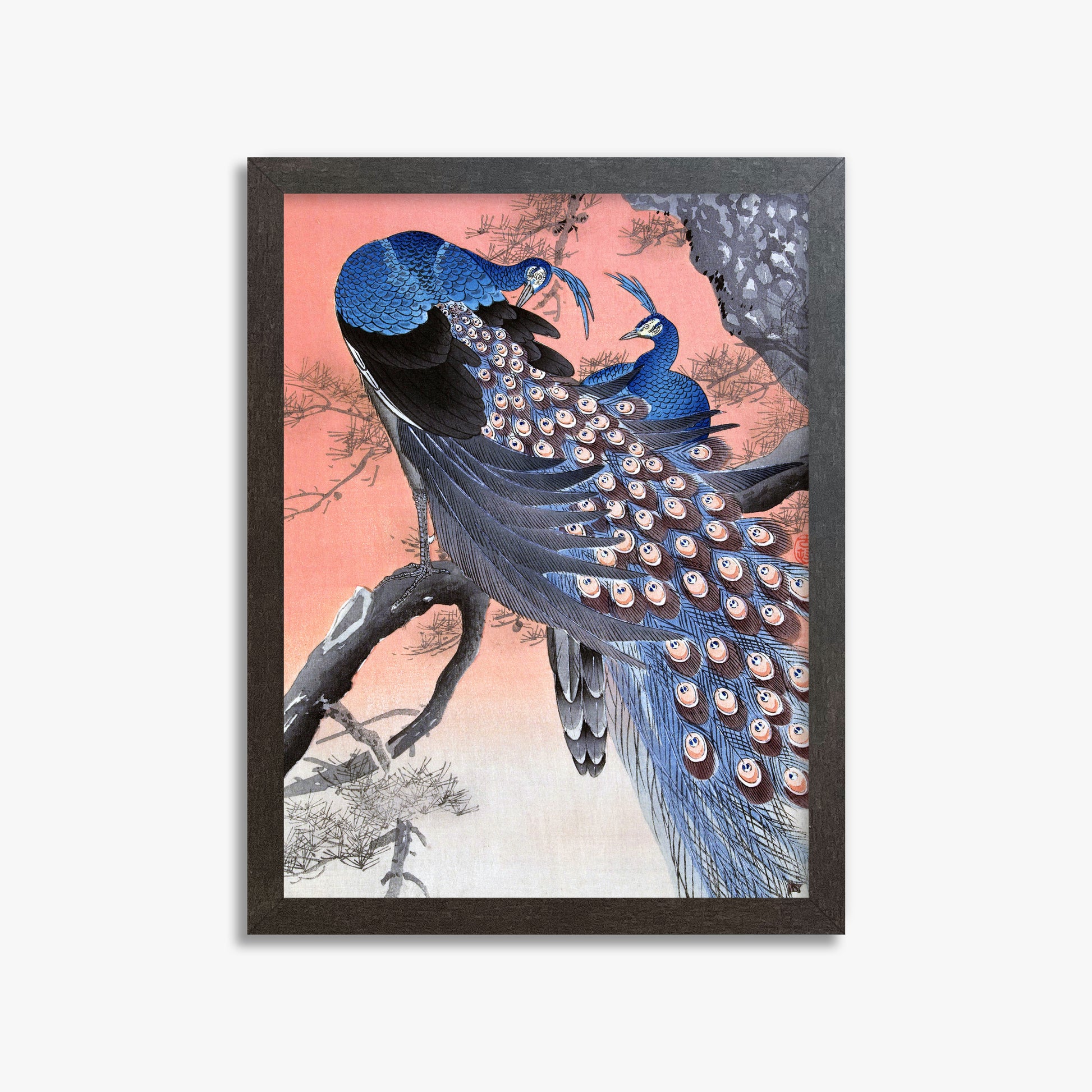 Ohara Koson: Two Peacocks on Tree Branch, 30x40cm Framed Art Reproduction With Espresso Frame