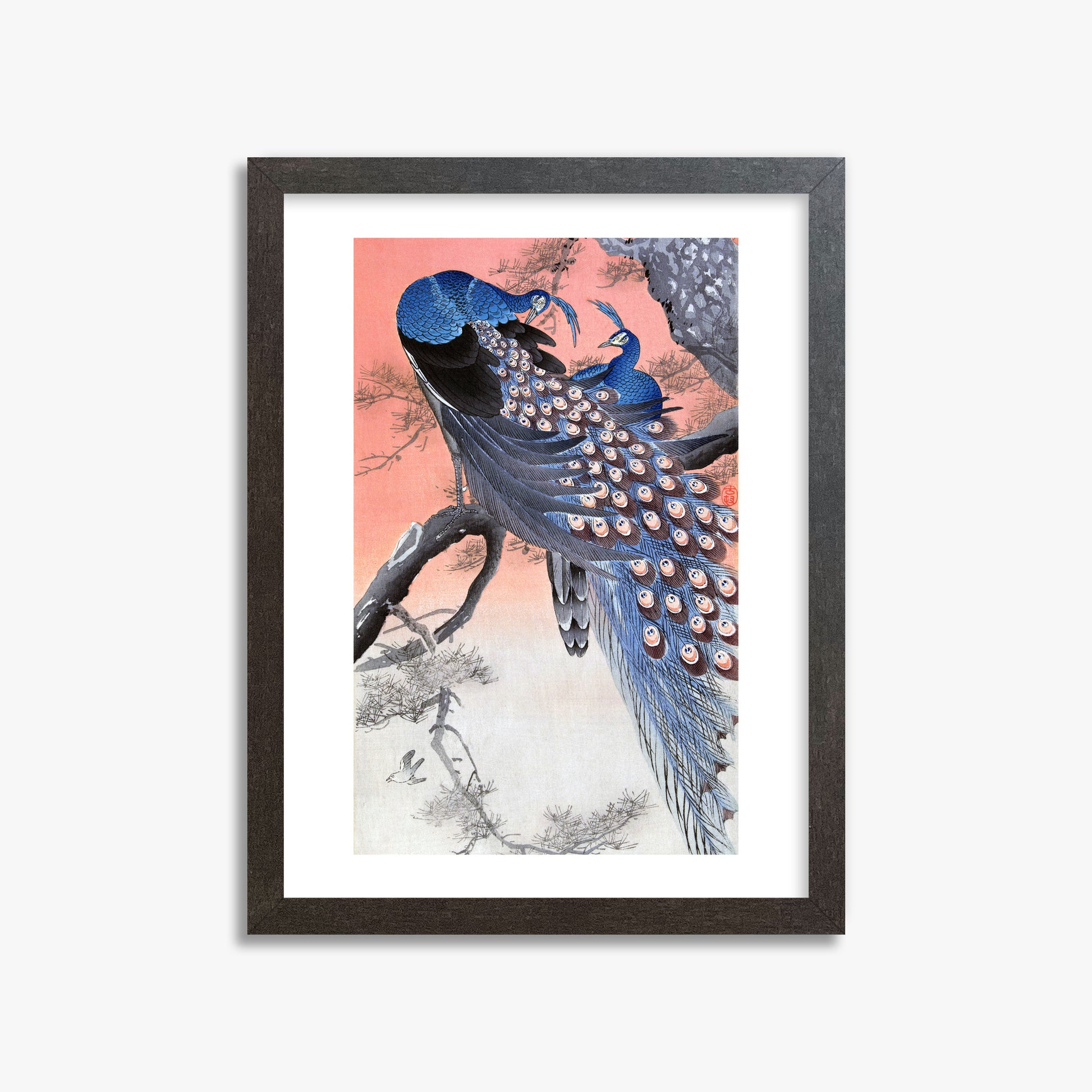 Ohara Koson: Two Peacocks on Tree Branch, 30x40cm Framed Art Reproduction With Espresso Frame