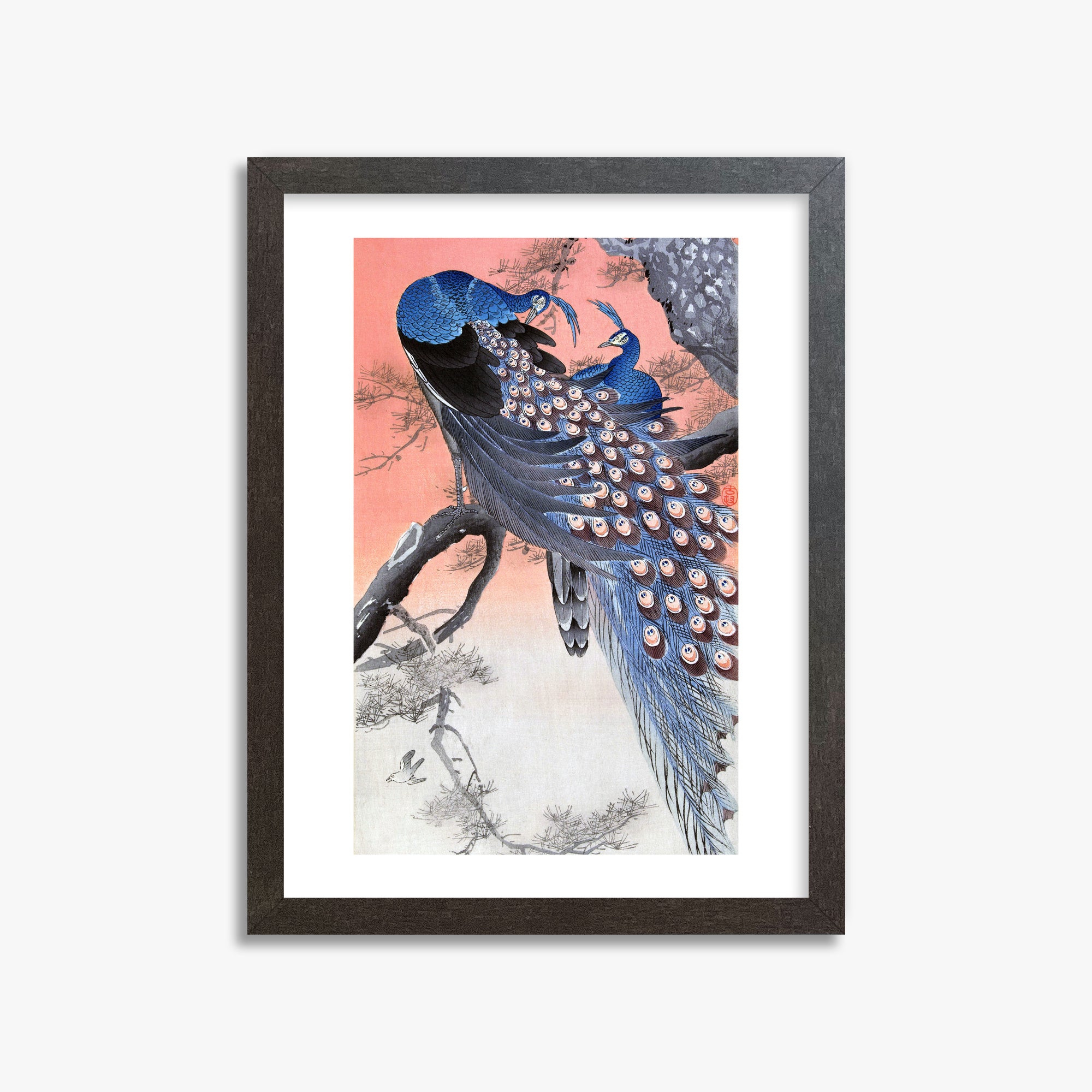 Ohara Koson: Two Peacocks on Tree Branch, 30x40cm Framed Art Reproduction With Espresso Frame