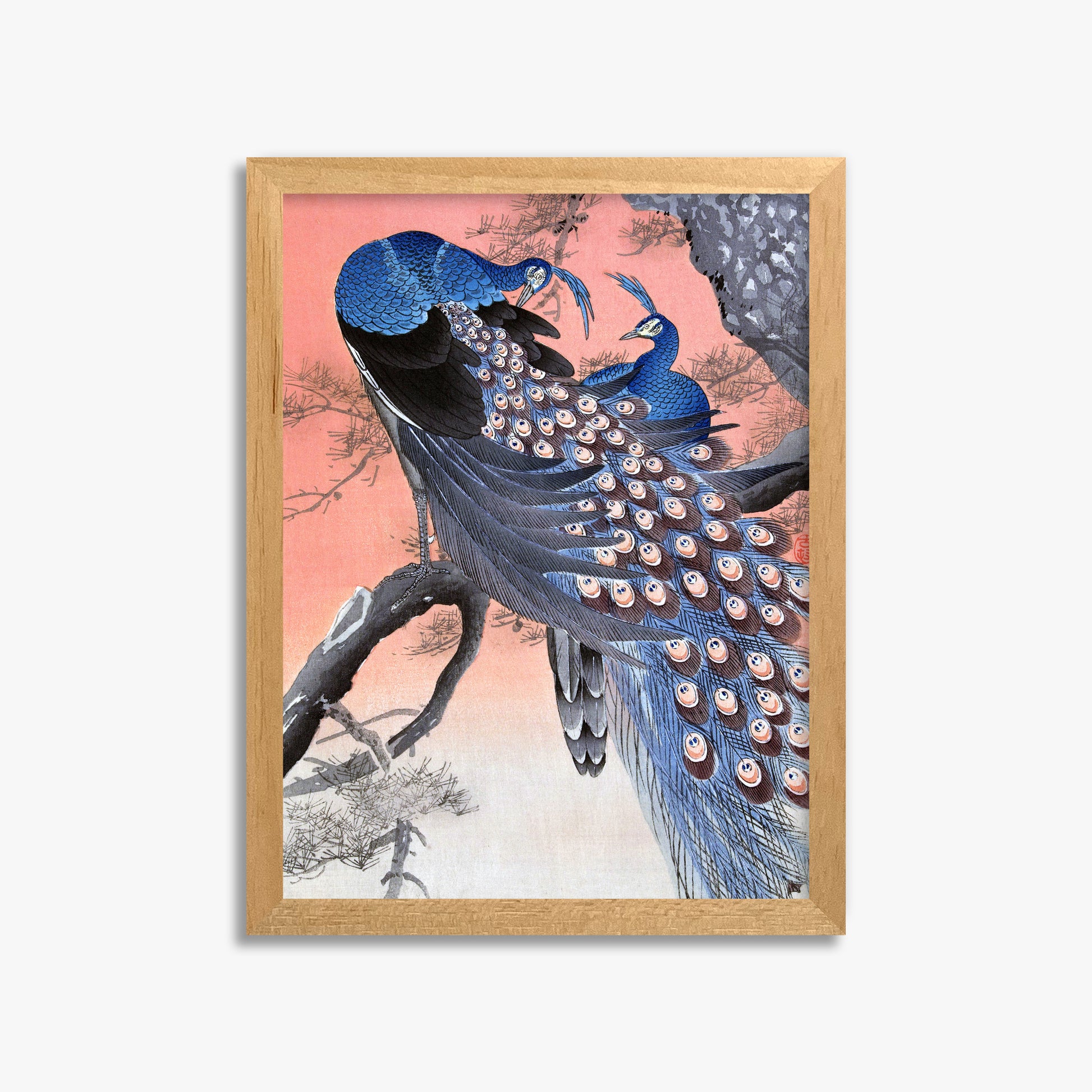 Ohara Koson: Two Peacocks on Tree Branch, 30x40cm Framed Art Reproduction With Oak Frame