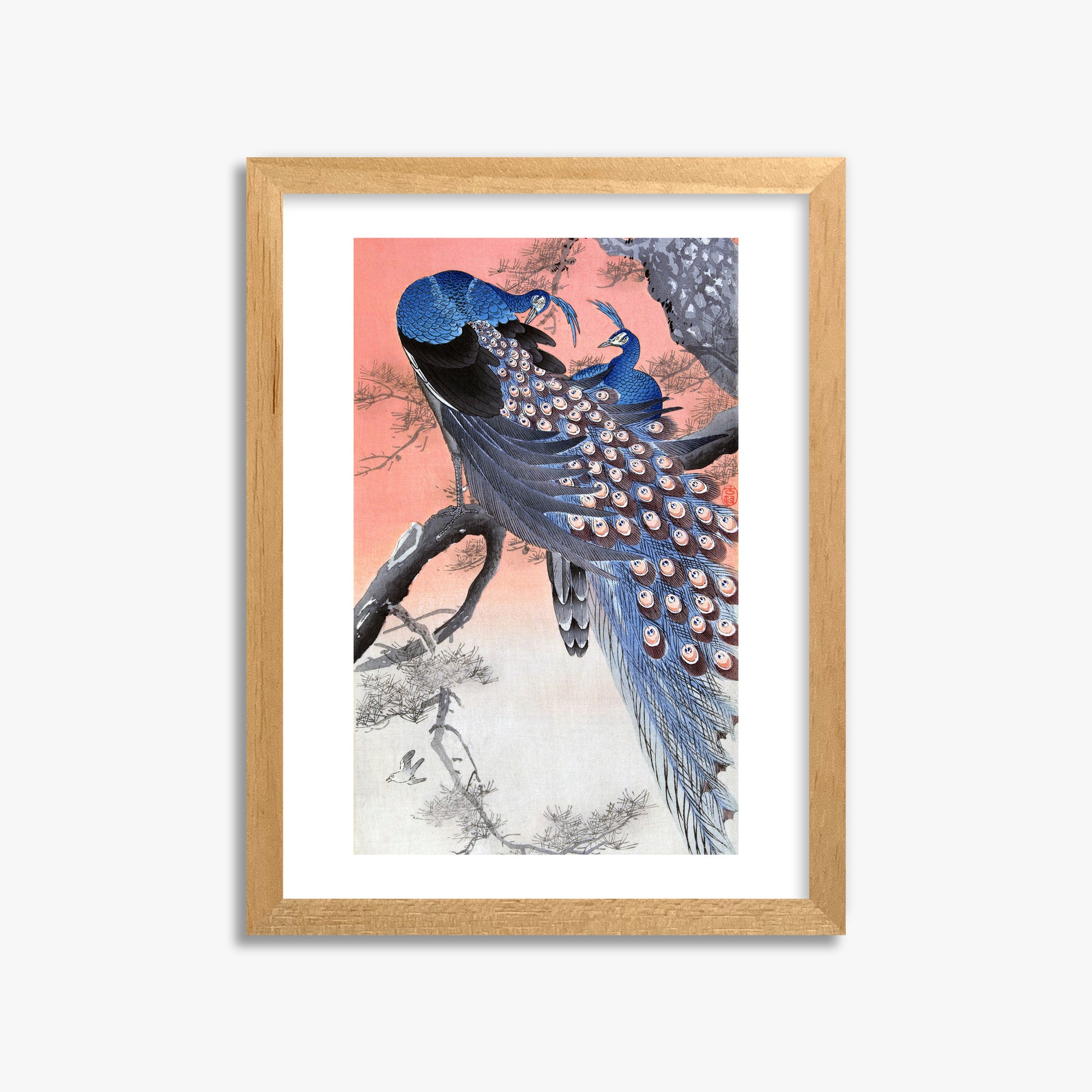 Ohara Koson: Two Peacocks on Tree Branch, 30x40cm Framed Art Reproduction With Oak Frame