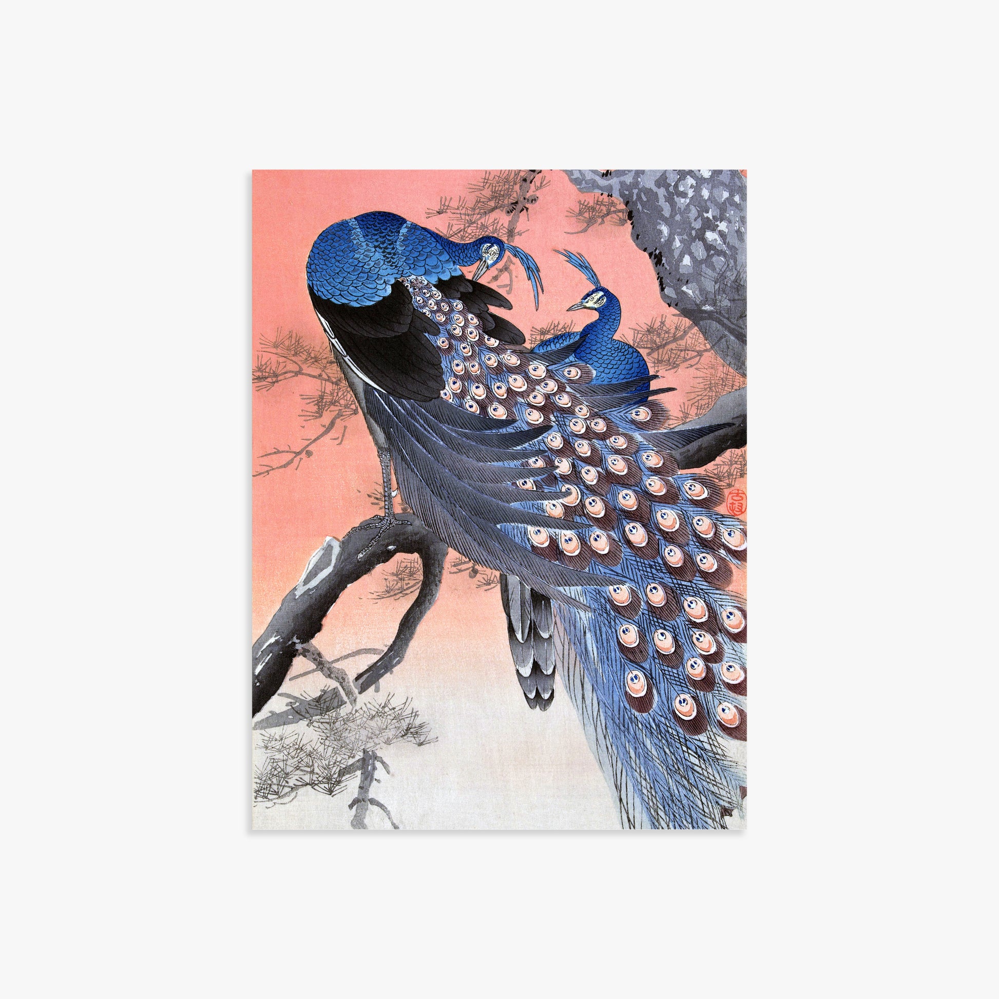 Ohara Koson: Two Peacocks on Tree Branch, 30x40cm Art Reproduction Unframed