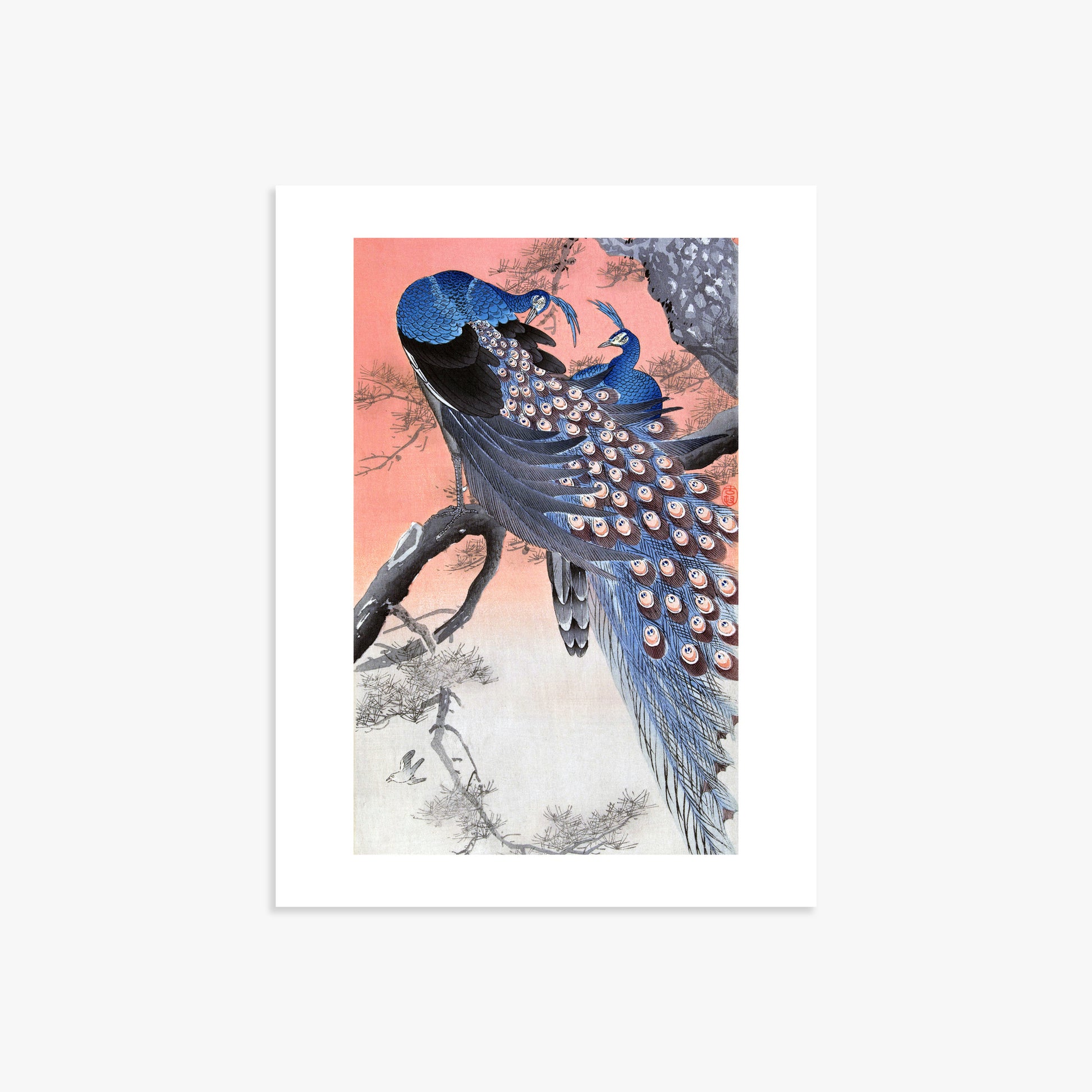 Ohara Koson: Two Peacocks on Tree Branch, 30x40cm Art Reproduction Unframed