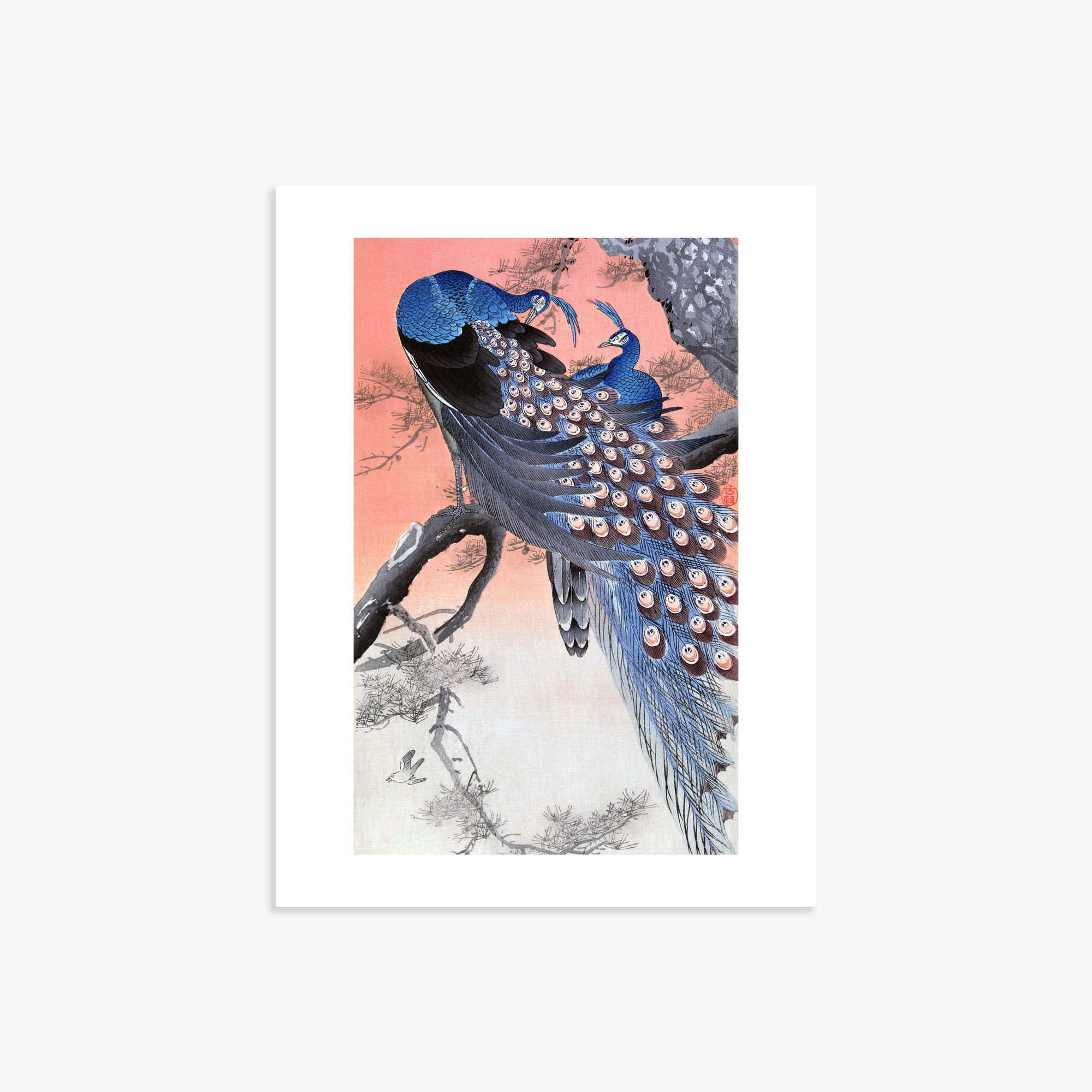 Ohara Koson: Two Peacocks on Tree Branch, 30x40cm Art Reproduction Unframed