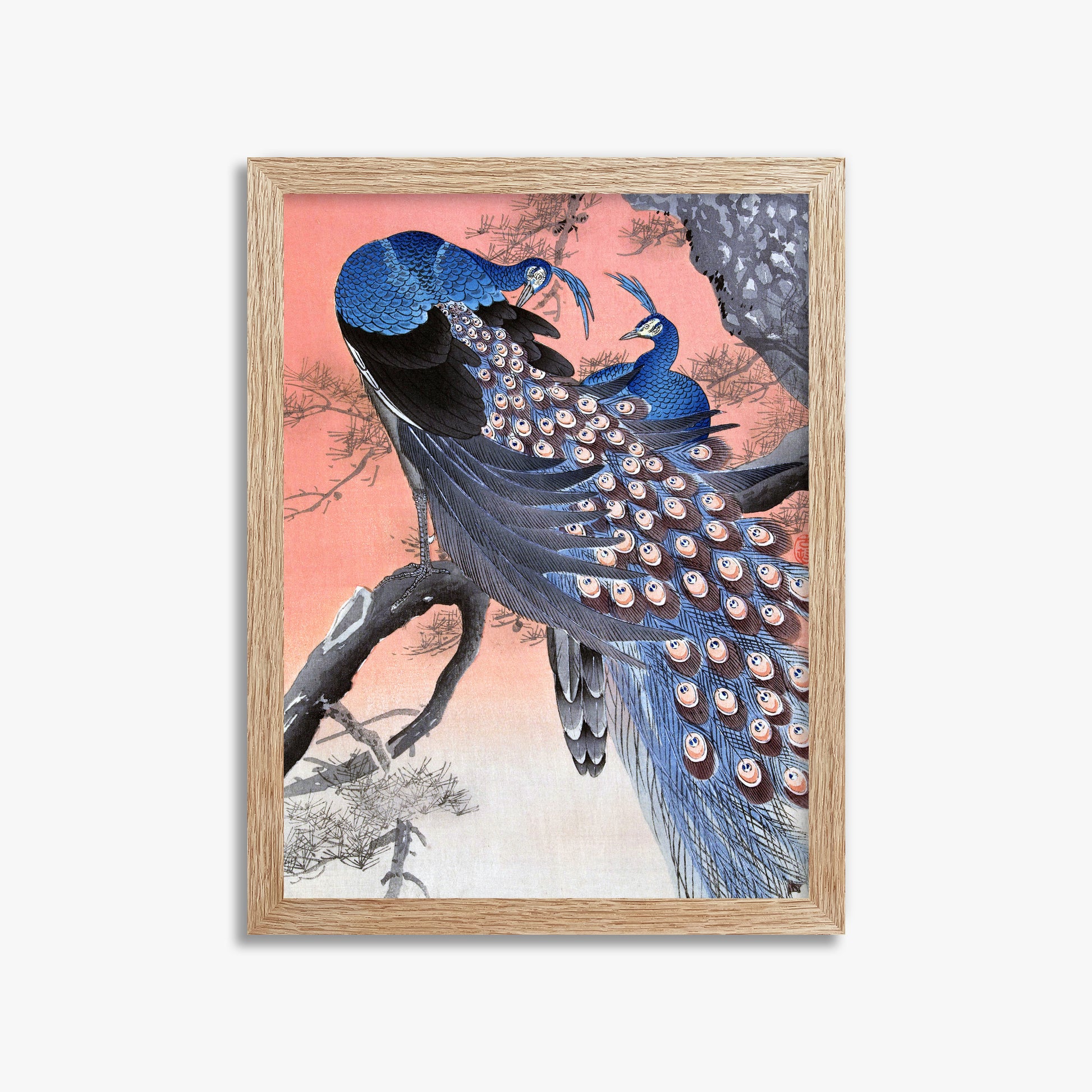 Ohara Koson: Two Peacocks on Tree Branch, 30x40cm Framed Art Reproduction With Raw Oak Frame