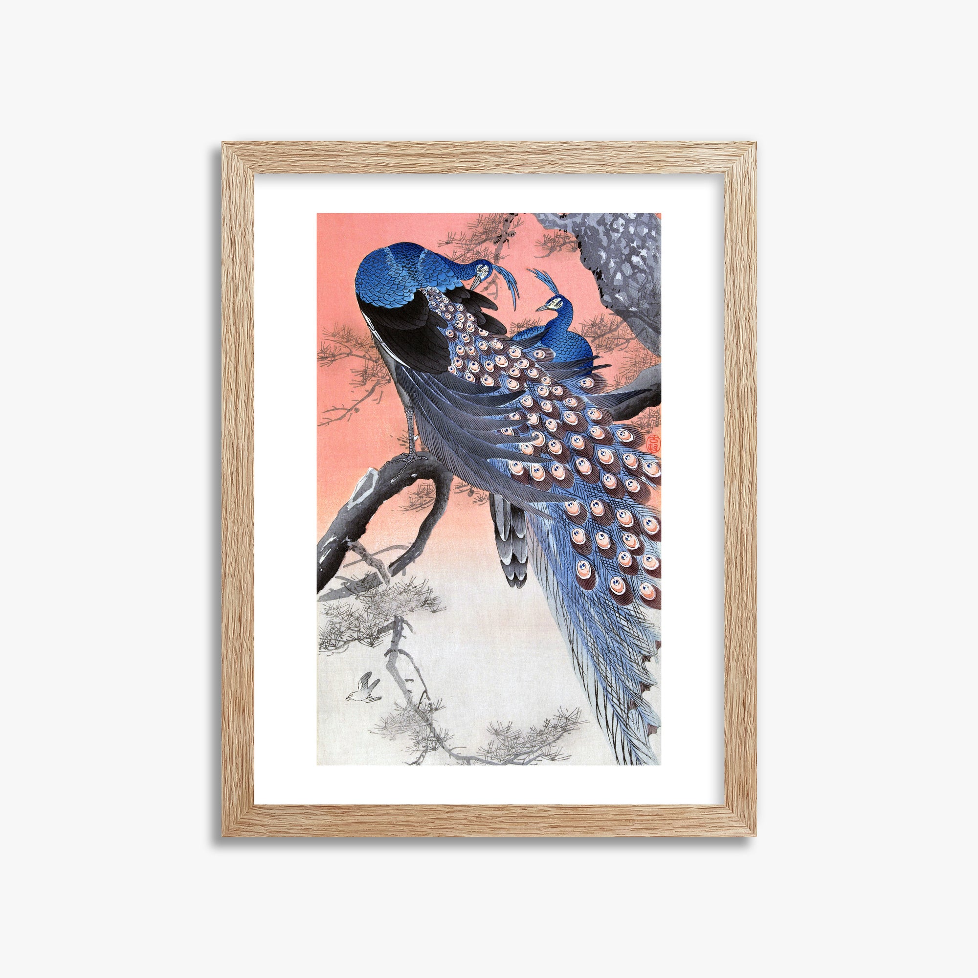 Ohara Koson: Two Peacocks on Tree Branch, 30x40cm Framed Art Reproduction With Raw Oak Frame