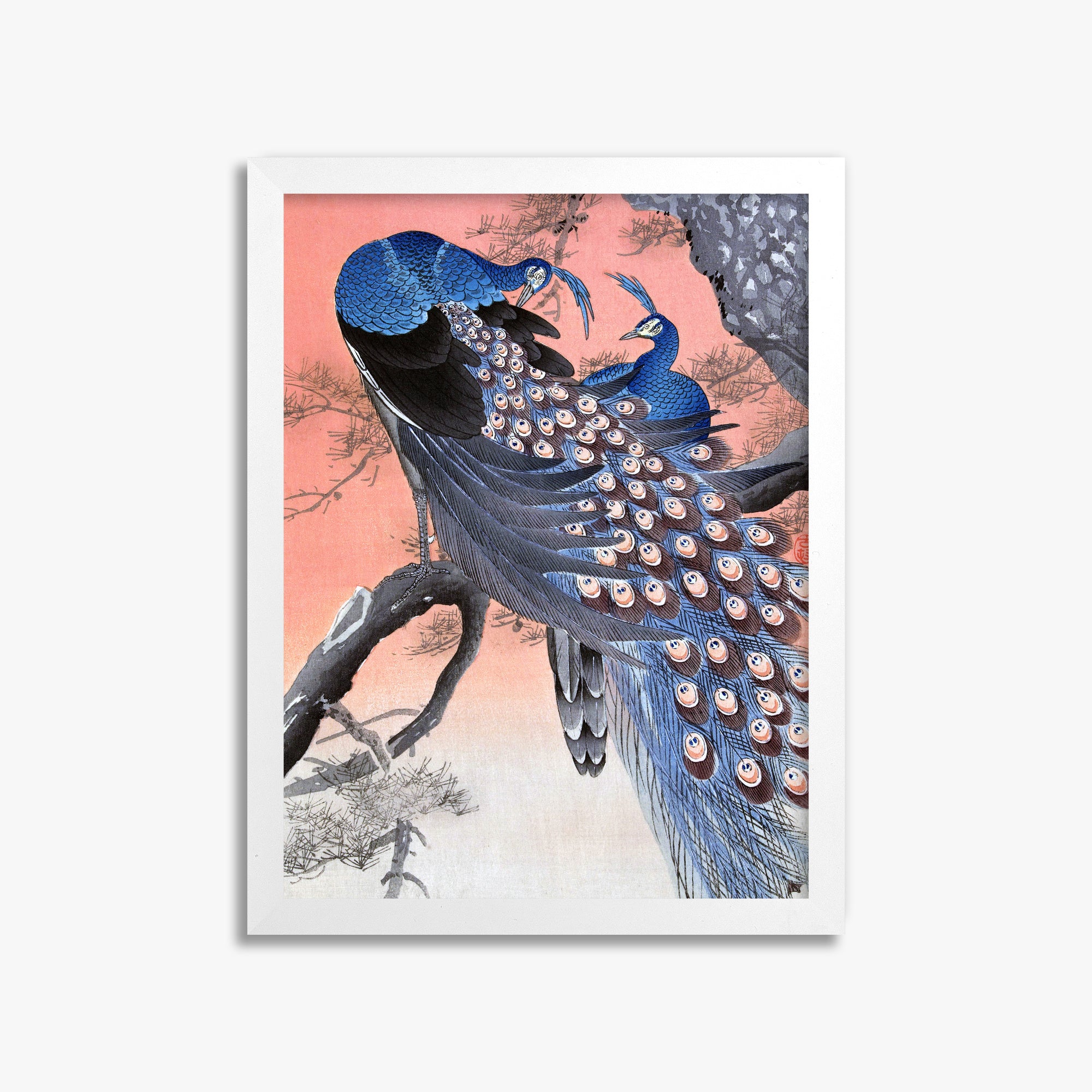Ohara Koson: Two Peacocks on Tree Branch, 30x40cm Framed Art Reproduction With White Frame