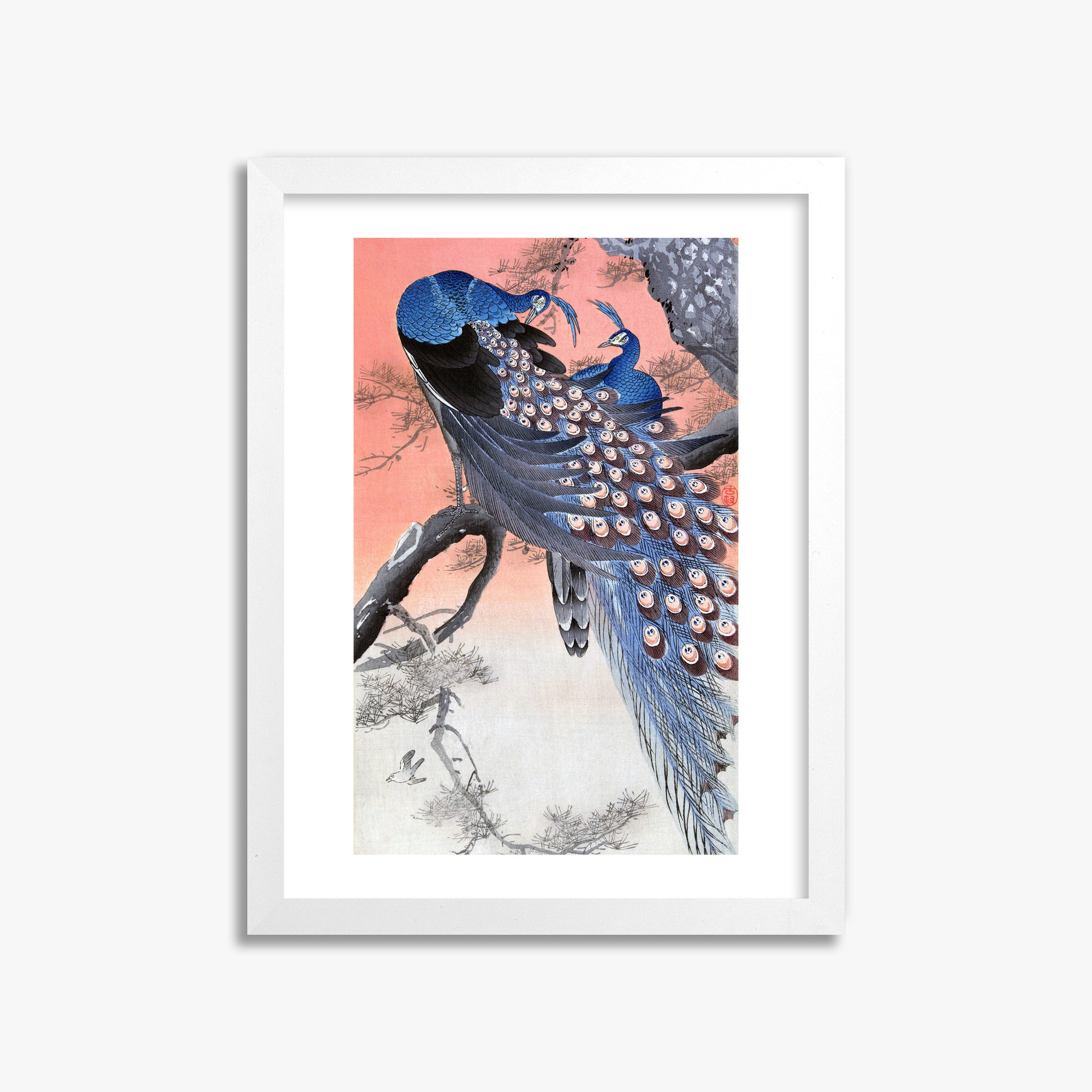 Ohara Koson: Two Peacocks on Tree Branch, 30x40cm Framed Art Reproduction With White Frame