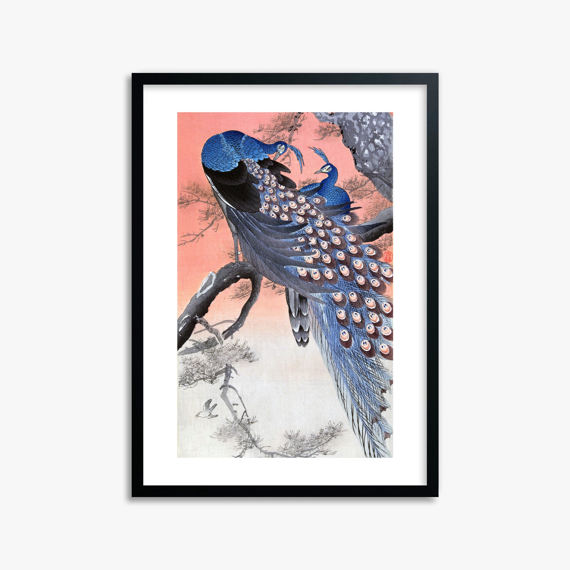 Ohara Koson: Two Peacocks on Tree Branch, 50x70cm Framed Art Reproduction With Black Frame