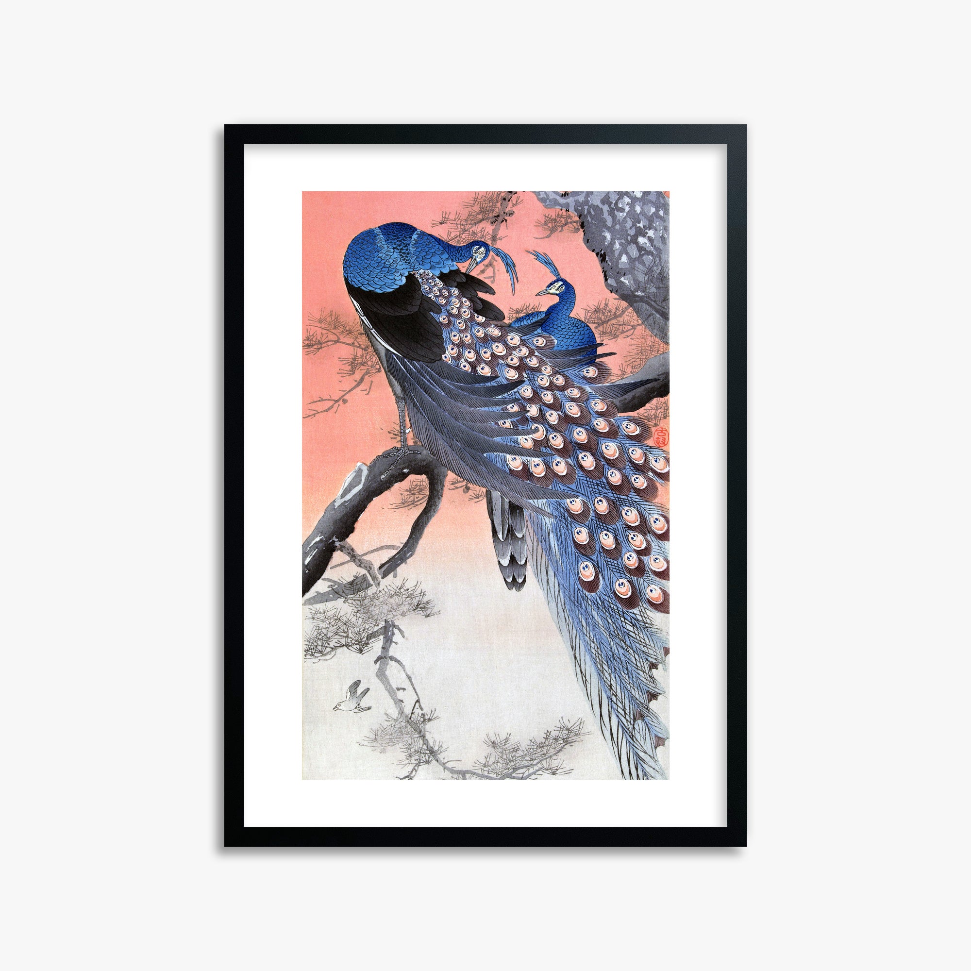 Ohara Koson: Two Peacocks on Tree Branch, 50x70cm Framed Art Reproduction With Black Frame