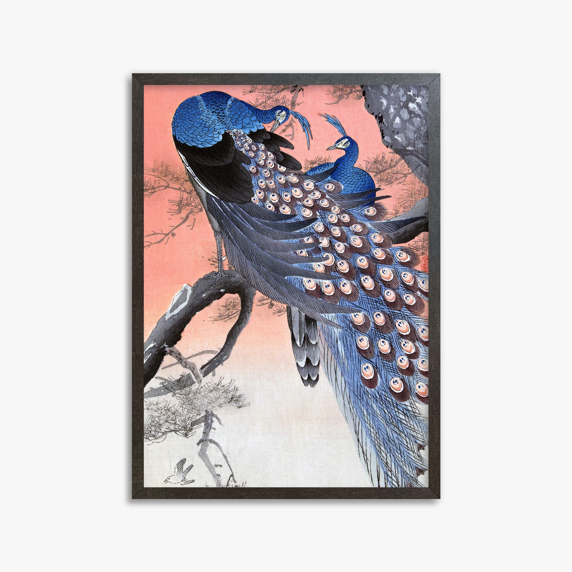 Ohara Koson: Two Peacocks on Tree Branch, 50x70cm Framed Art Reproduction With Espresso Frame