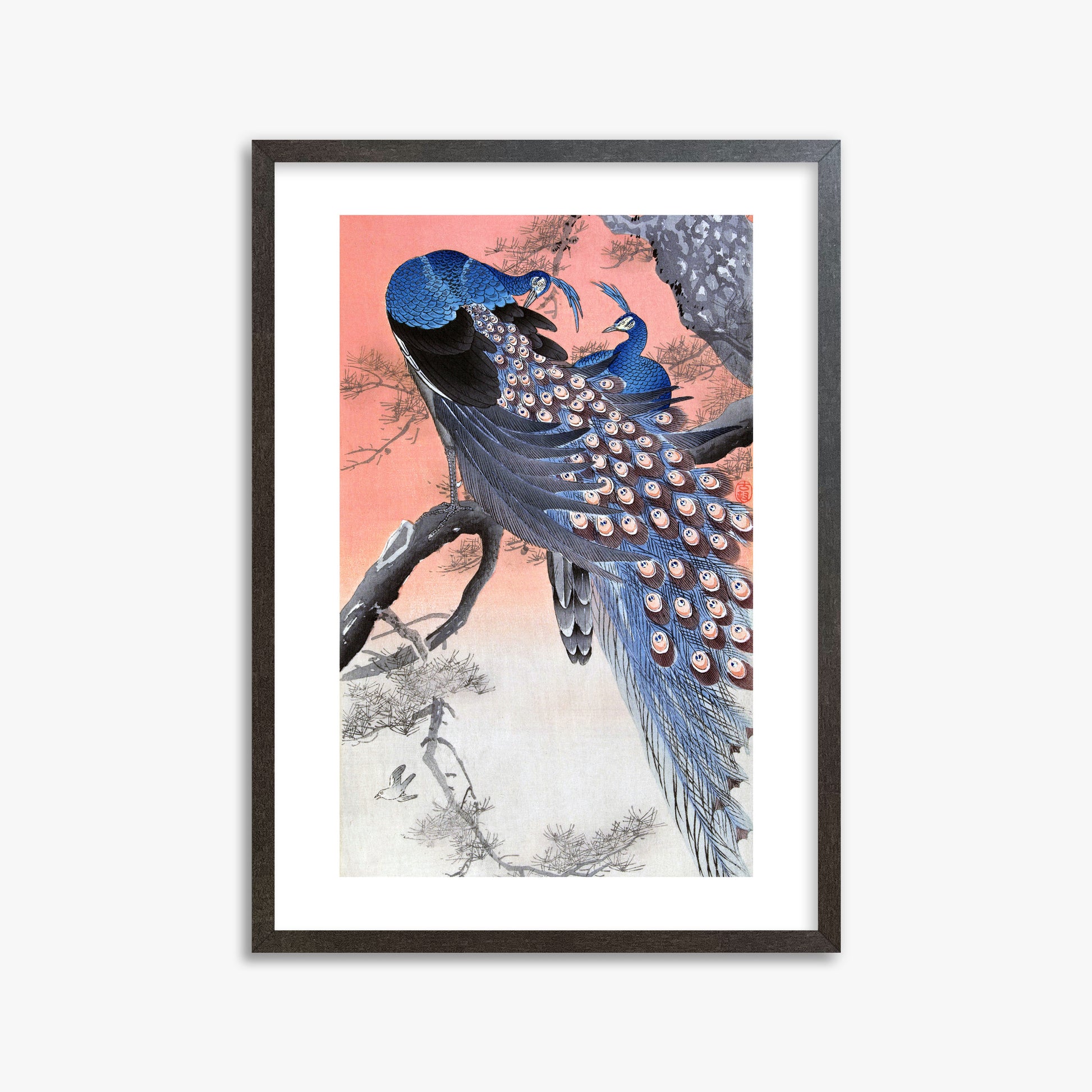 Ohara Koson: Two Peacocks on Tree Branch, 50x70cm Framed Art Reproduction With Espresso Frame