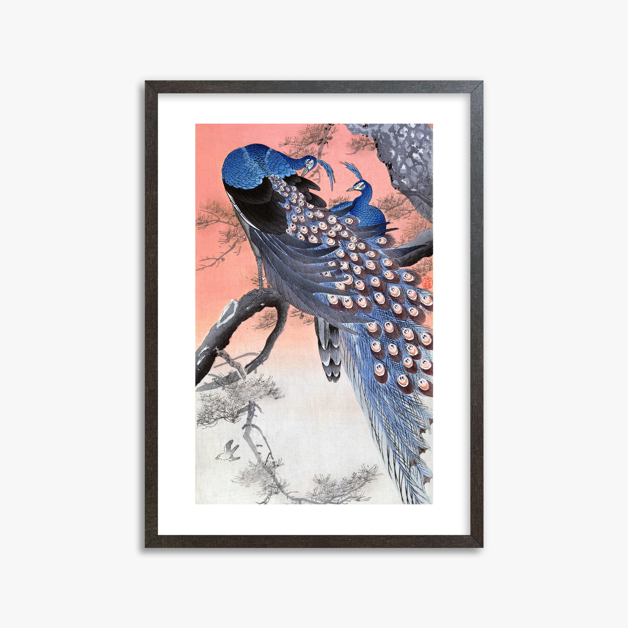 Ohara Koson: Two Peacocks on Tree Branch, 50x70cm Framed Art Reproduction With Espresso Frame