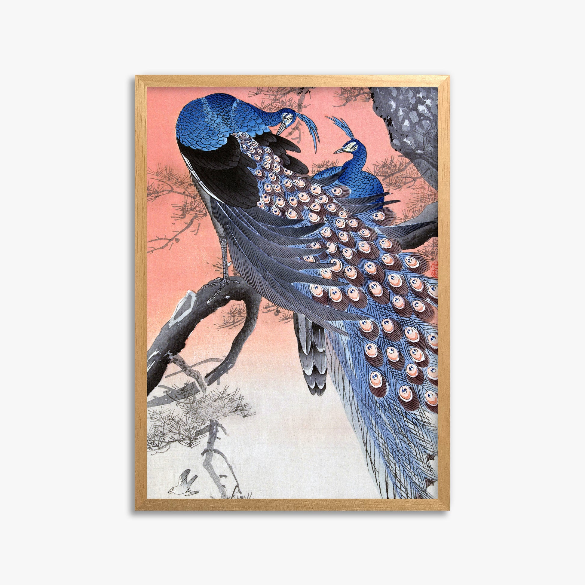 Ohara Koson: Two Peacocks on Tree Branch, 50x70cm Framed Art Reproduction With Oak Frame
