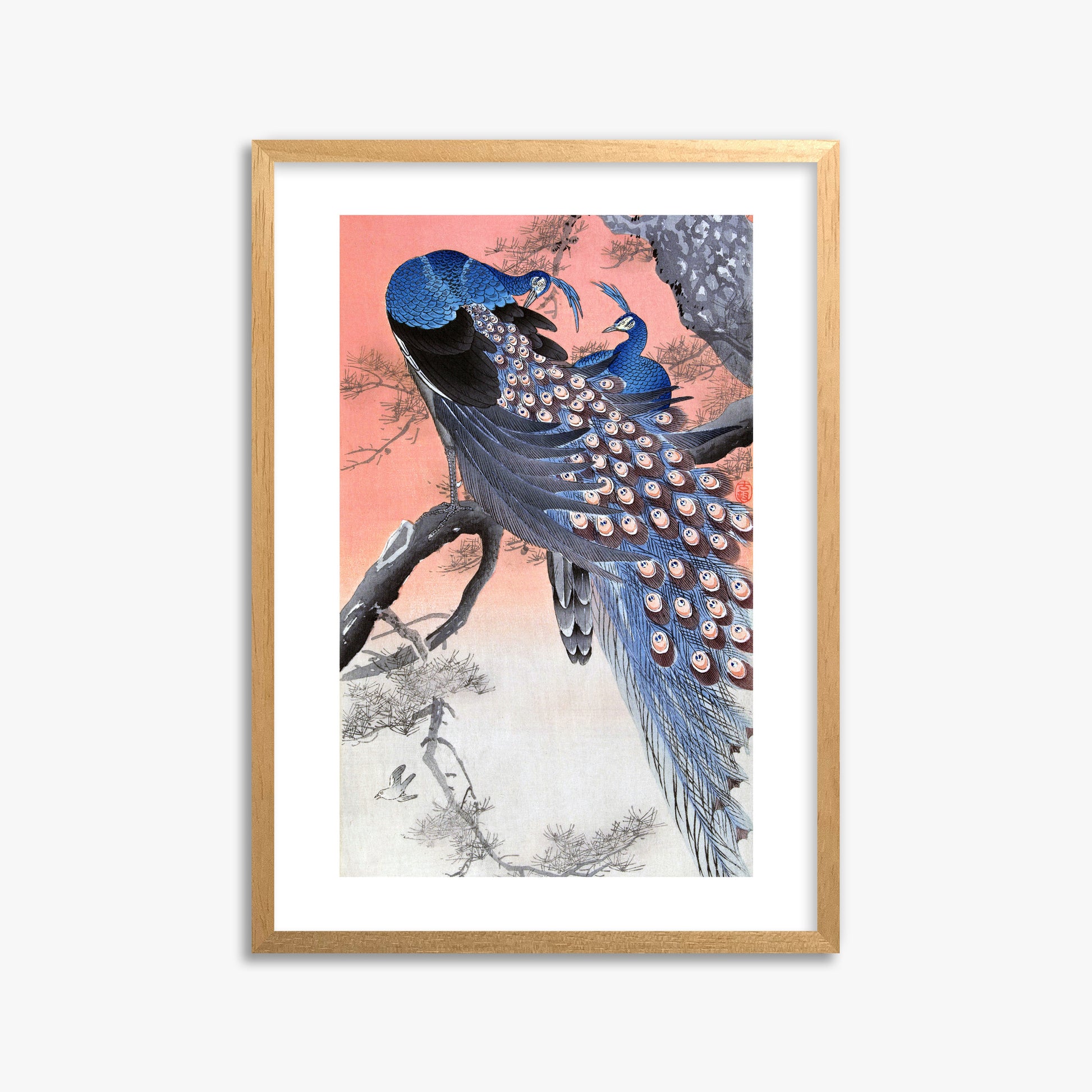 Ohara Koson: Two Peacocks on Tree Branch, 50x70cm Framed Art Reproduction With Oak Frame
