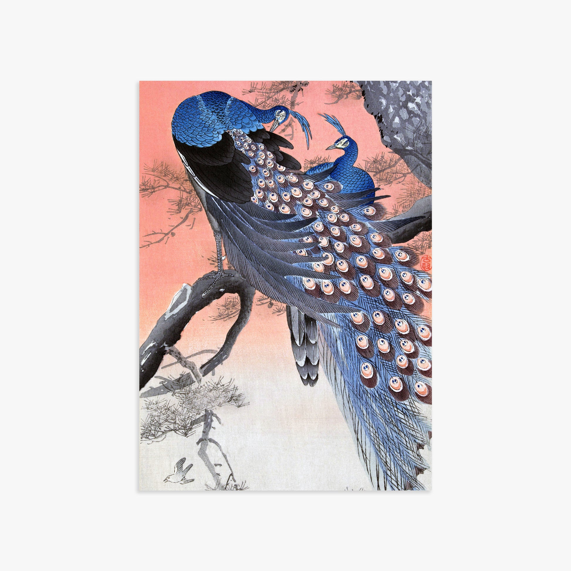 Ohara Koson: Two Peacocks on Tree Branch, 50x70cm Art Reproduction Unframed