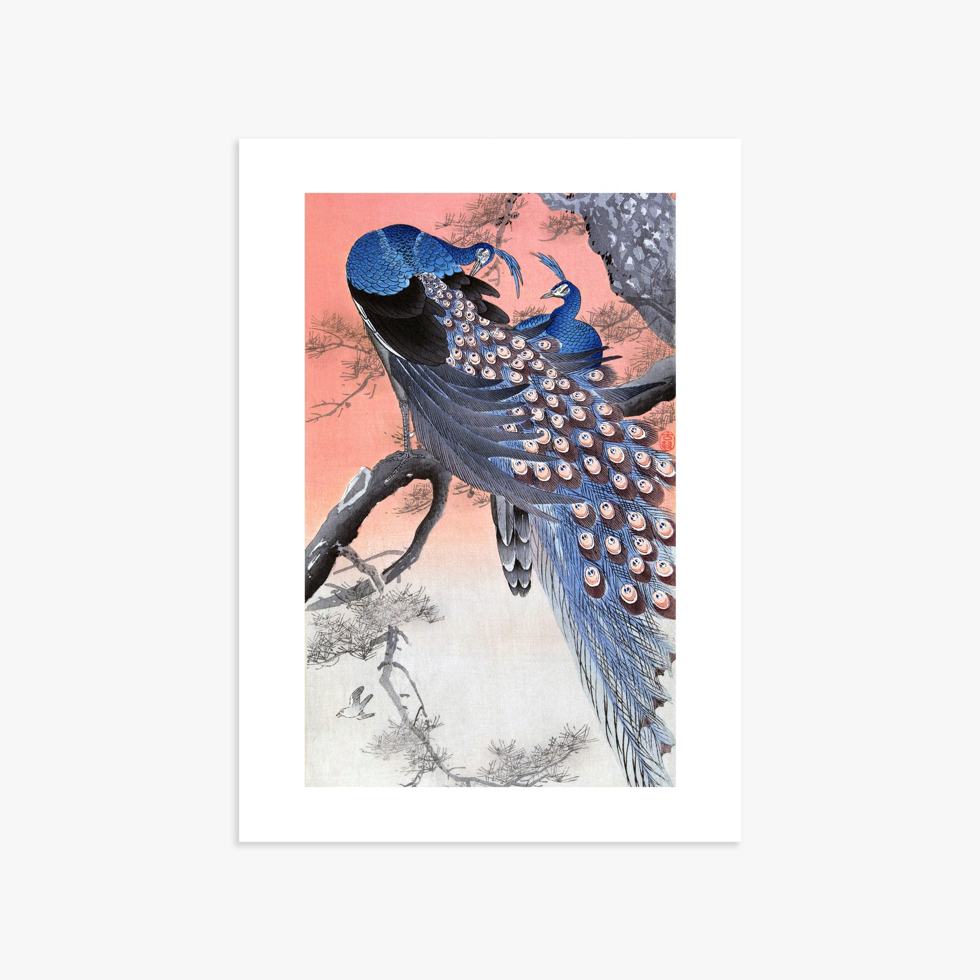 Ohara Koson: Two Peacocks on Tree Branch, 50x70cm Art Reproduction Unframed