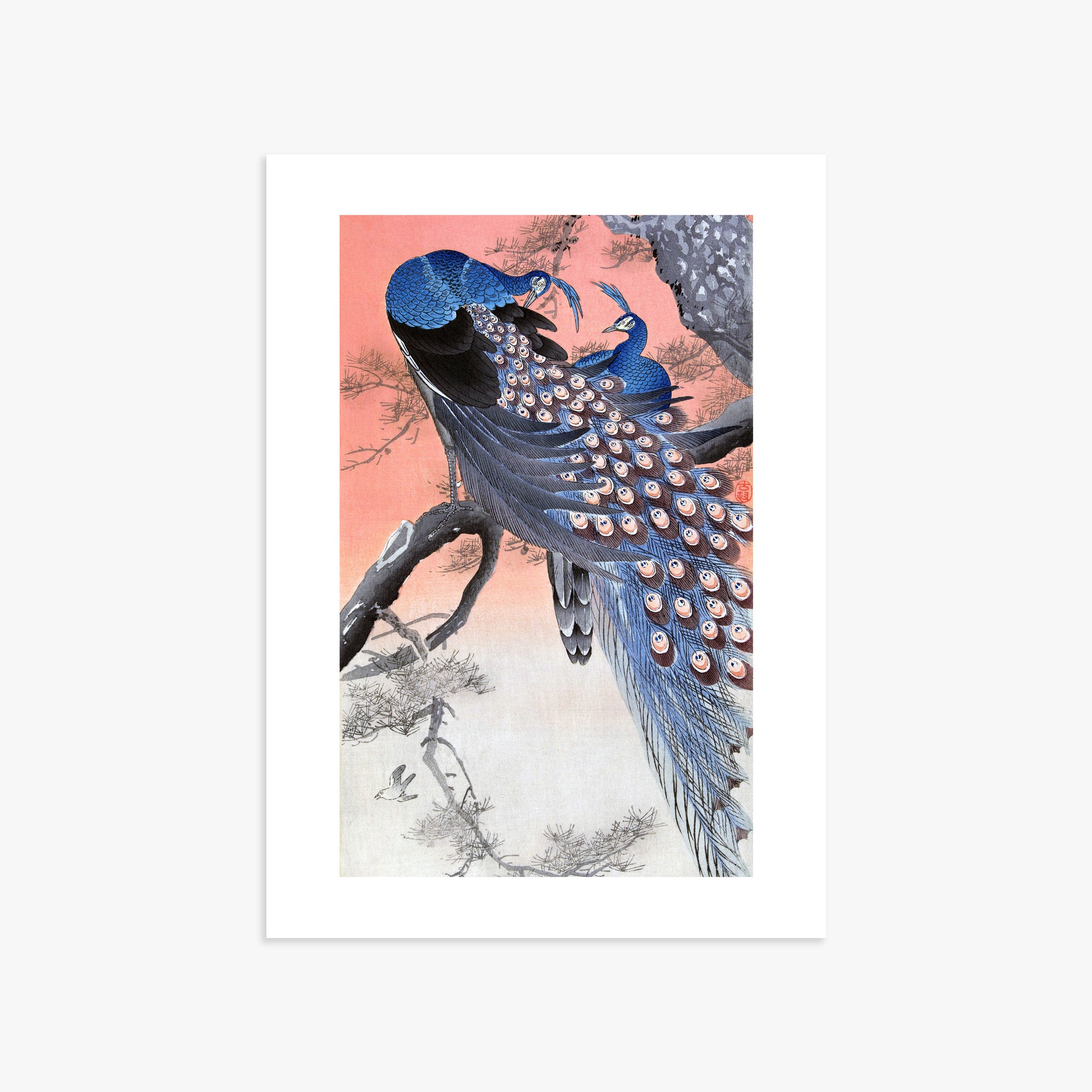 Ohara Koson: Two Peacocks on Tree Branch, 50x70cm Art Reproduction Unframed