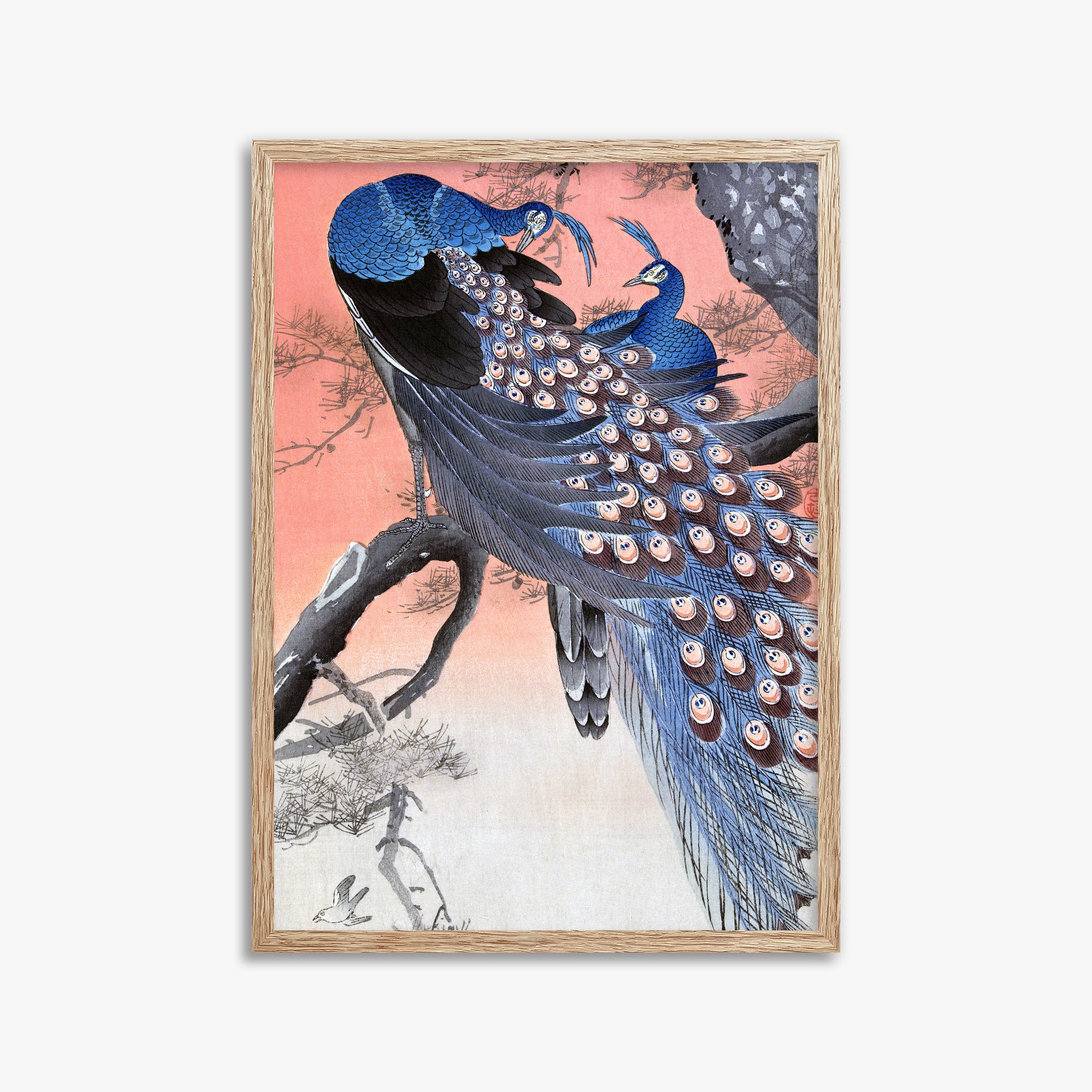 Ohara Koson: Two Peacocks on Tree Branch, 50x70cm Framed Art Reproduction With Raw Oak Frame