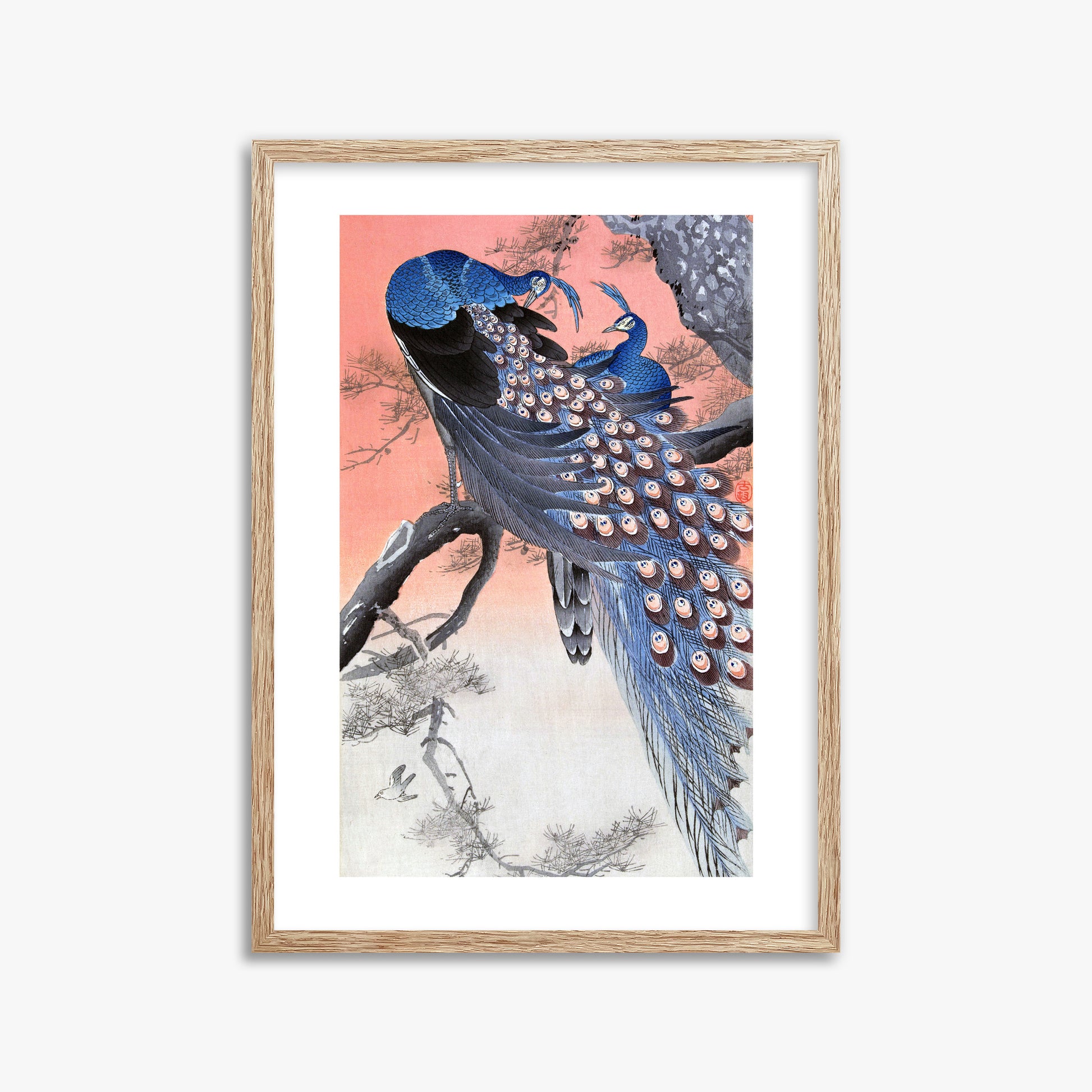 Ohara Koson: Two Peacocks on Tree Branch, 50x70cm Framed Art Reproduction With Raw Oak Frame
