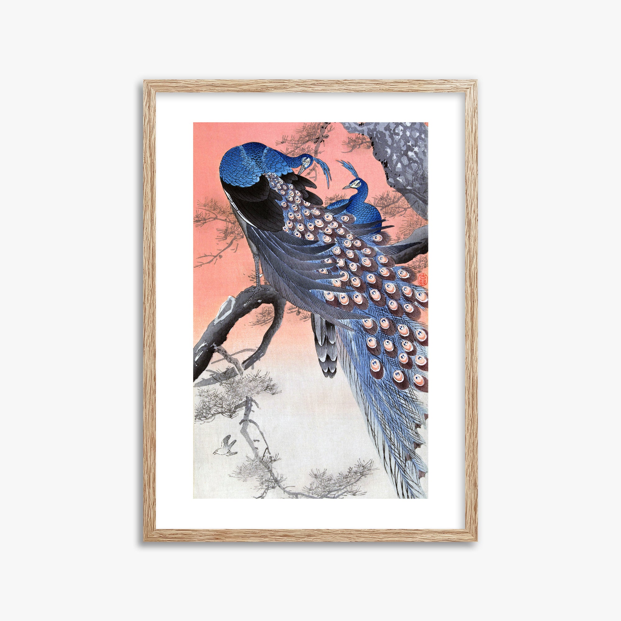 Ohara Koson: Two Peacocks on Tree Branch, 50x70cm Framed Art Reproduction With Raw Oak Frame