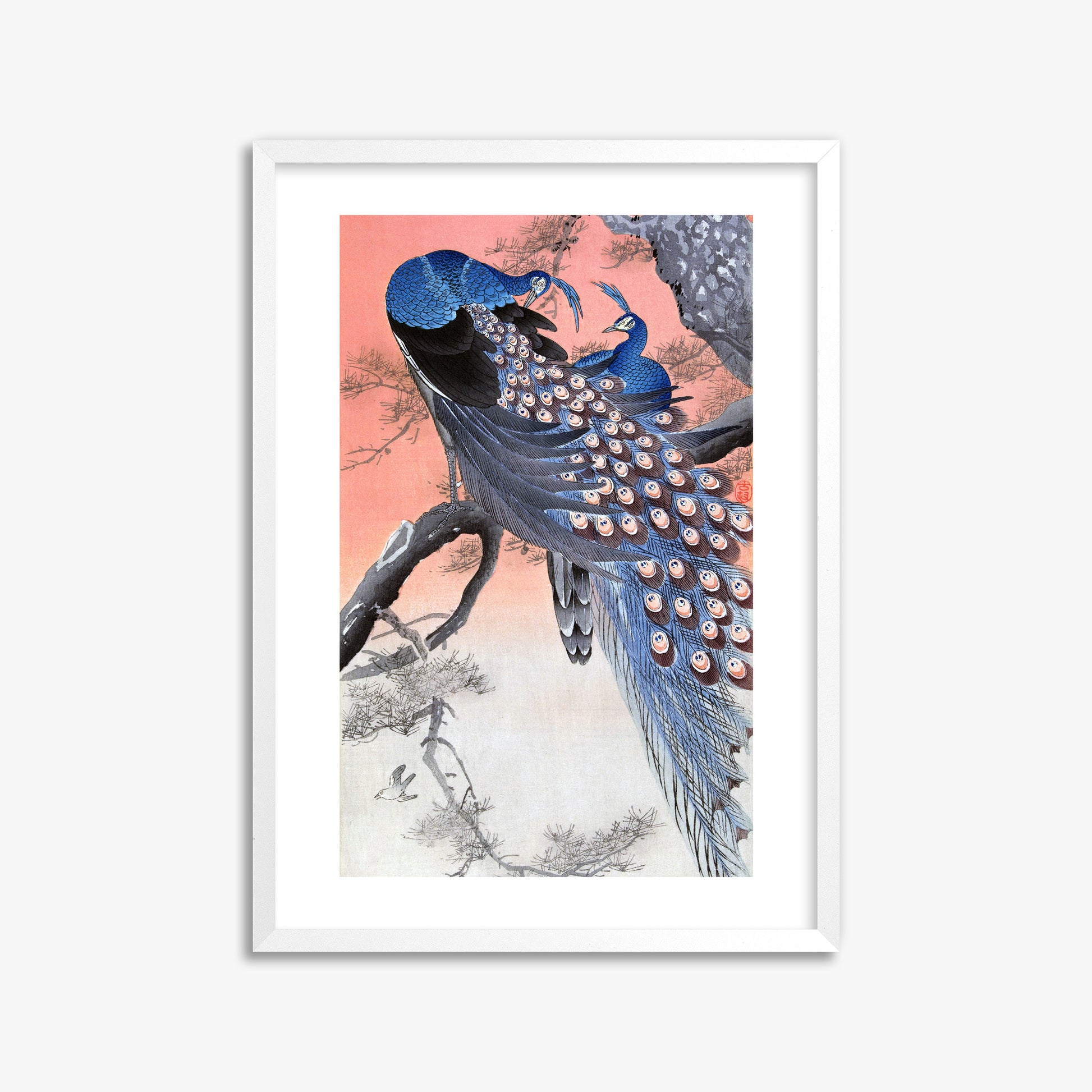 Ohara Koson: Two Peacocks on Tree Branch, 50x70cm Framed Art Reproduction With White Frame