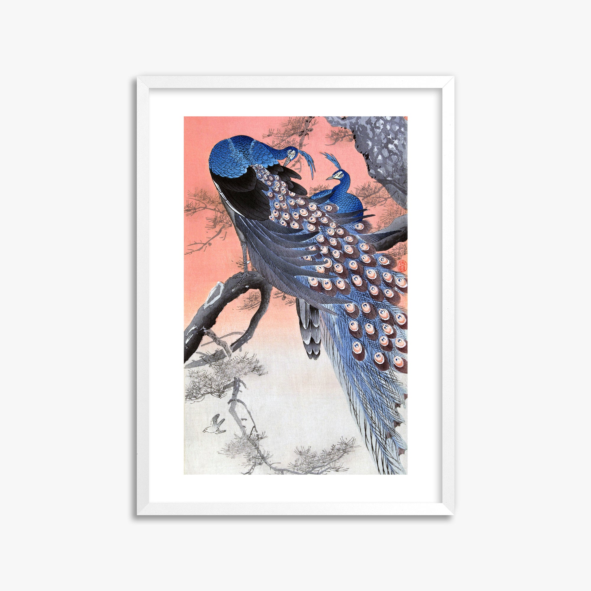 Ohara Koson: Two Peacocks on Tree Branch, 50x70cm Framed Art Reproduction With White Frame