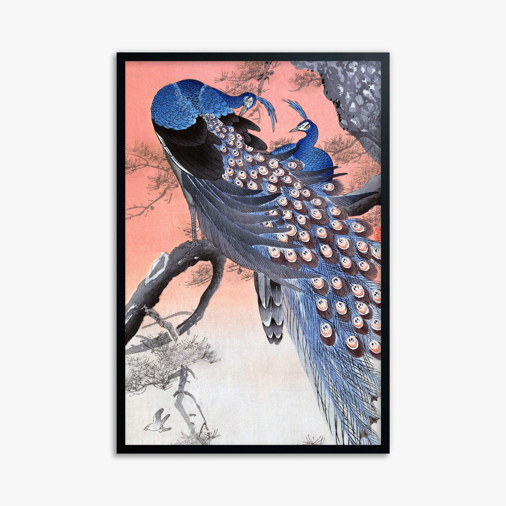 Ohara Koson: Two Peacocks on Tree Branch, 61x91cm Framed Art Reproduction With Black Frame