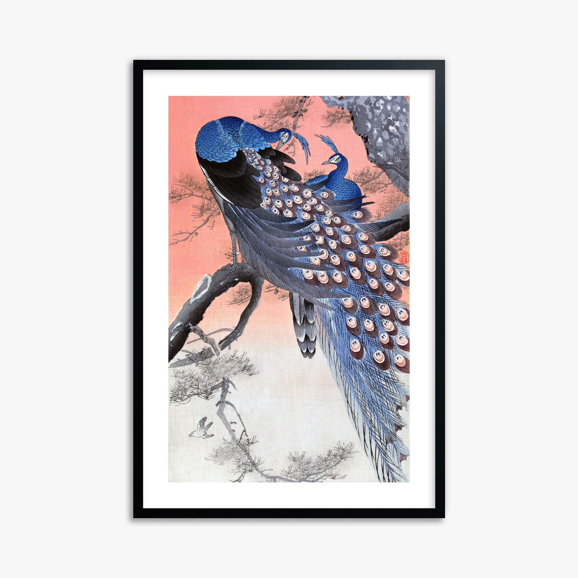 Ohara Koson: Two Peacocks on Tree Branch, 61x91cm Framed Art Reproduction With Black Frame