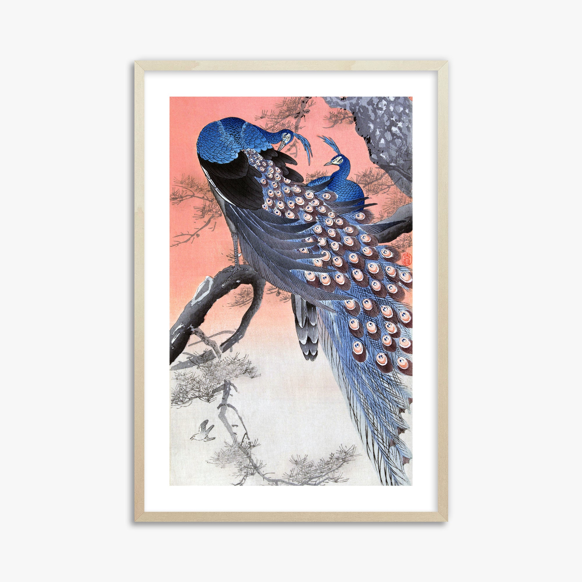 Ohara Koson: Two Peacocks on Tree Branch, 61x91cm Framed Art Reproduction With Lime Wood Frame