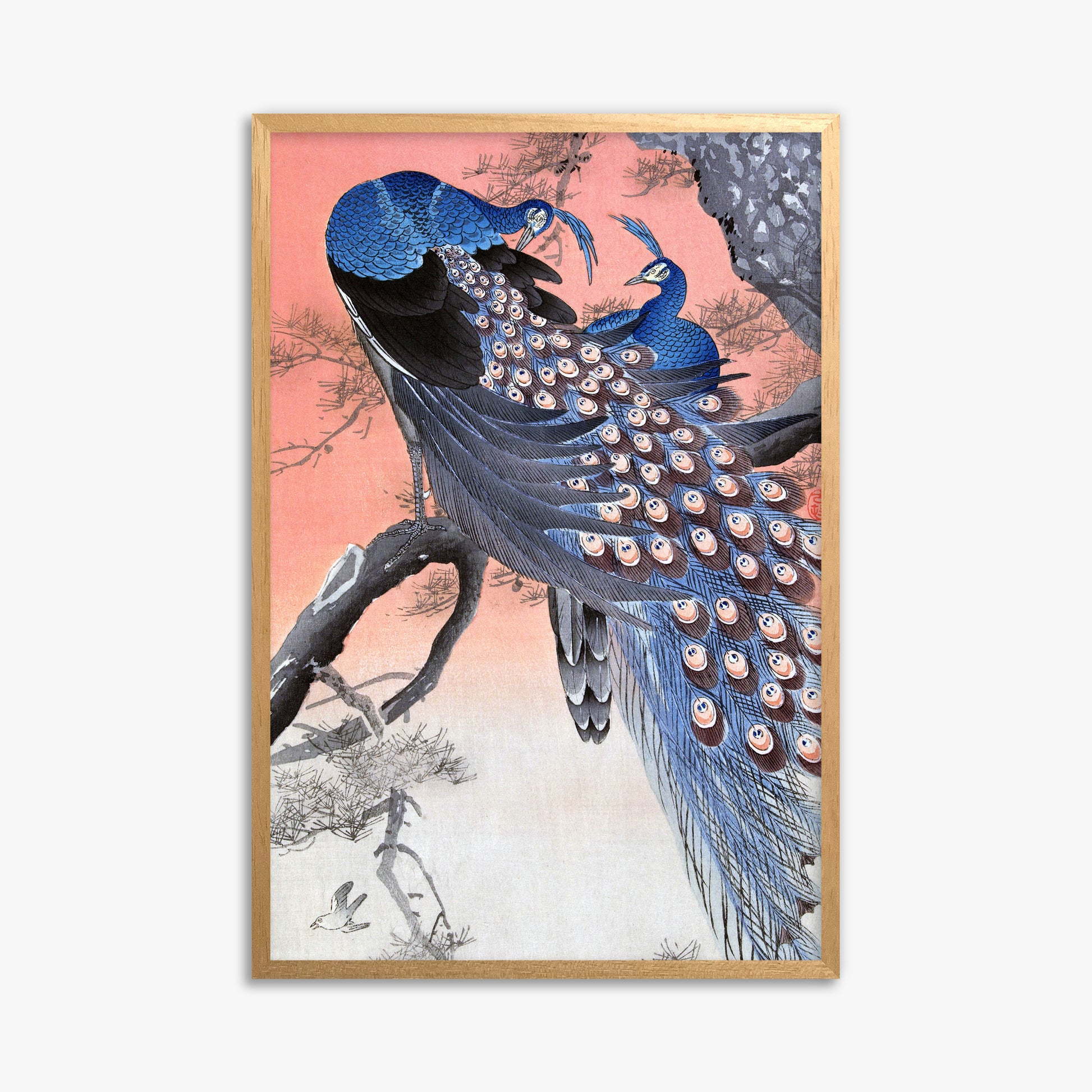 Ohara Koson: Two Peacocks on Tree Branch, 61x91cm Framed Art Reproduction With Oak Frame