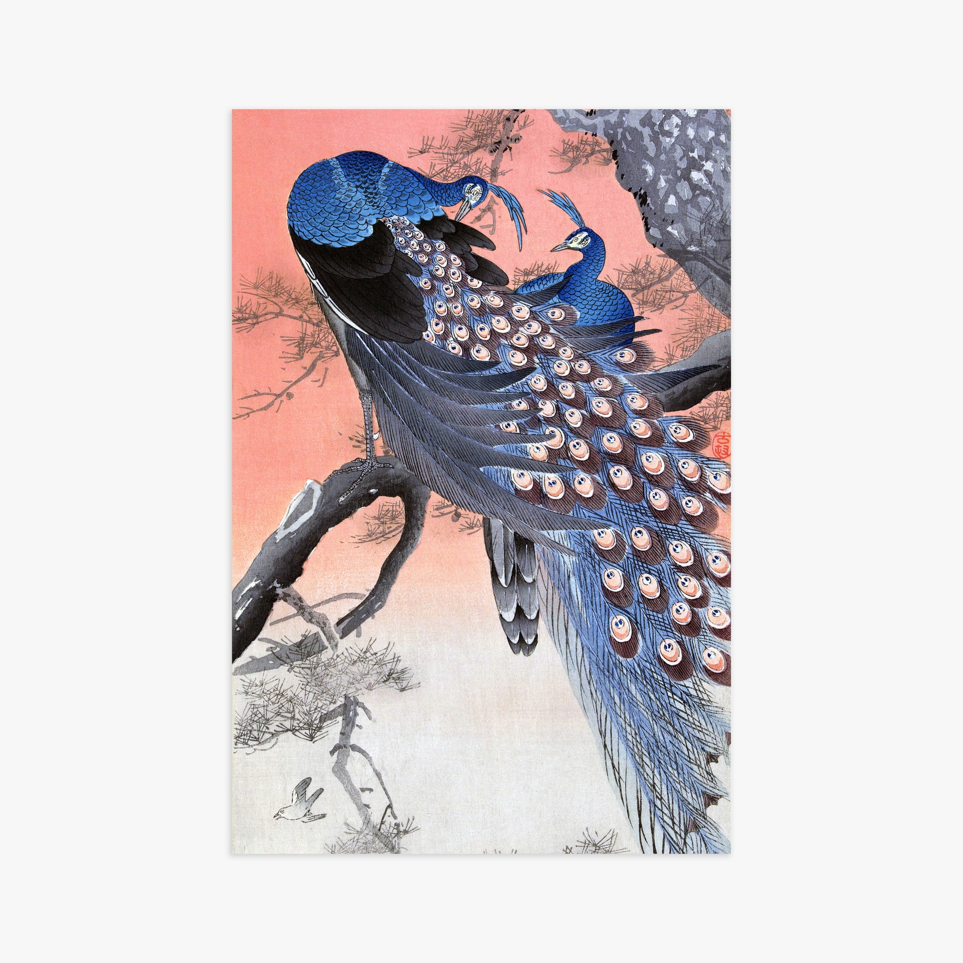 Ohara Koson: Two Peacocks on Tree Branch, 61x91cm Art Reproduction Unframed