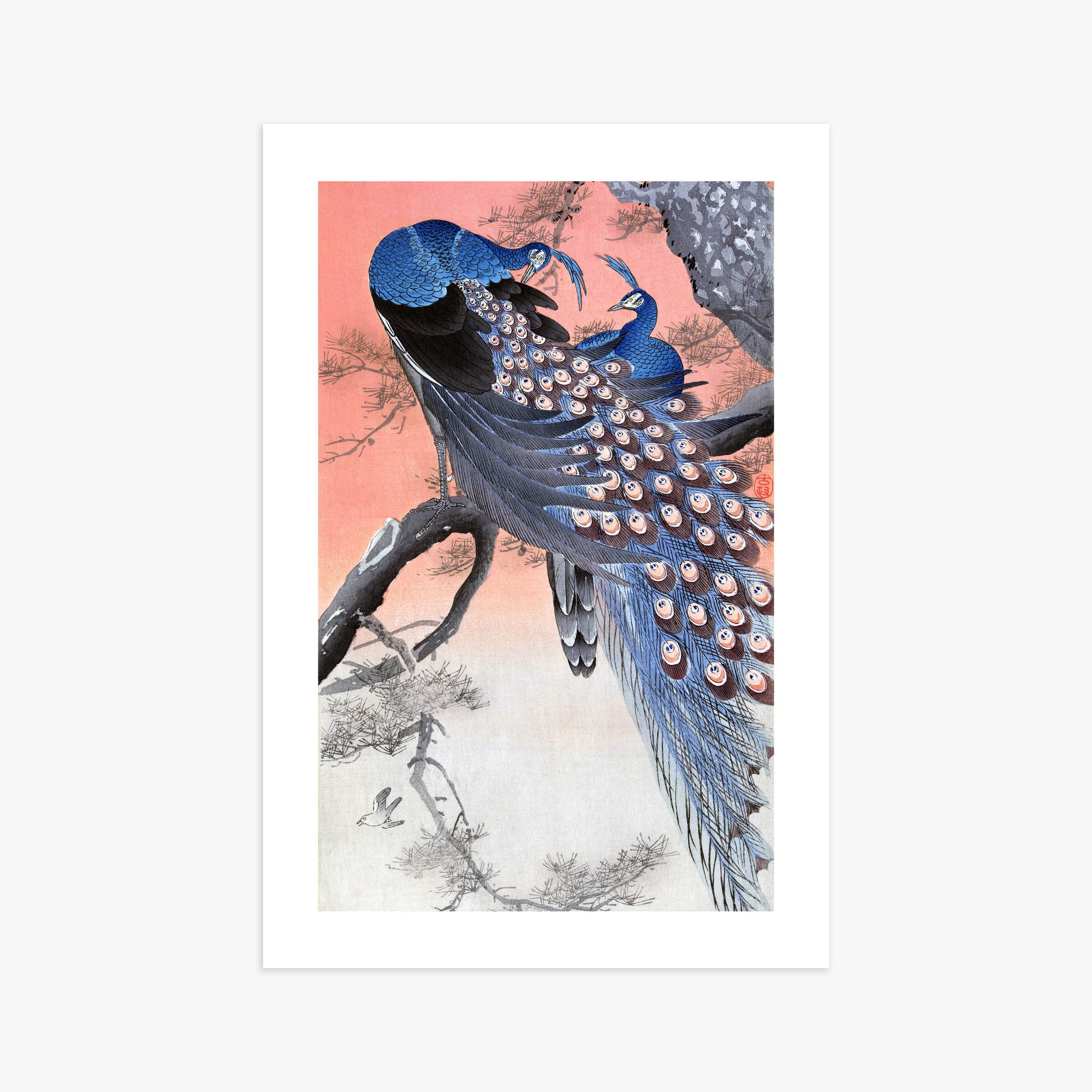 Ohara Koson: Two Peacocks on Tree Branch, 61x91cm Art Reproduction Unframed