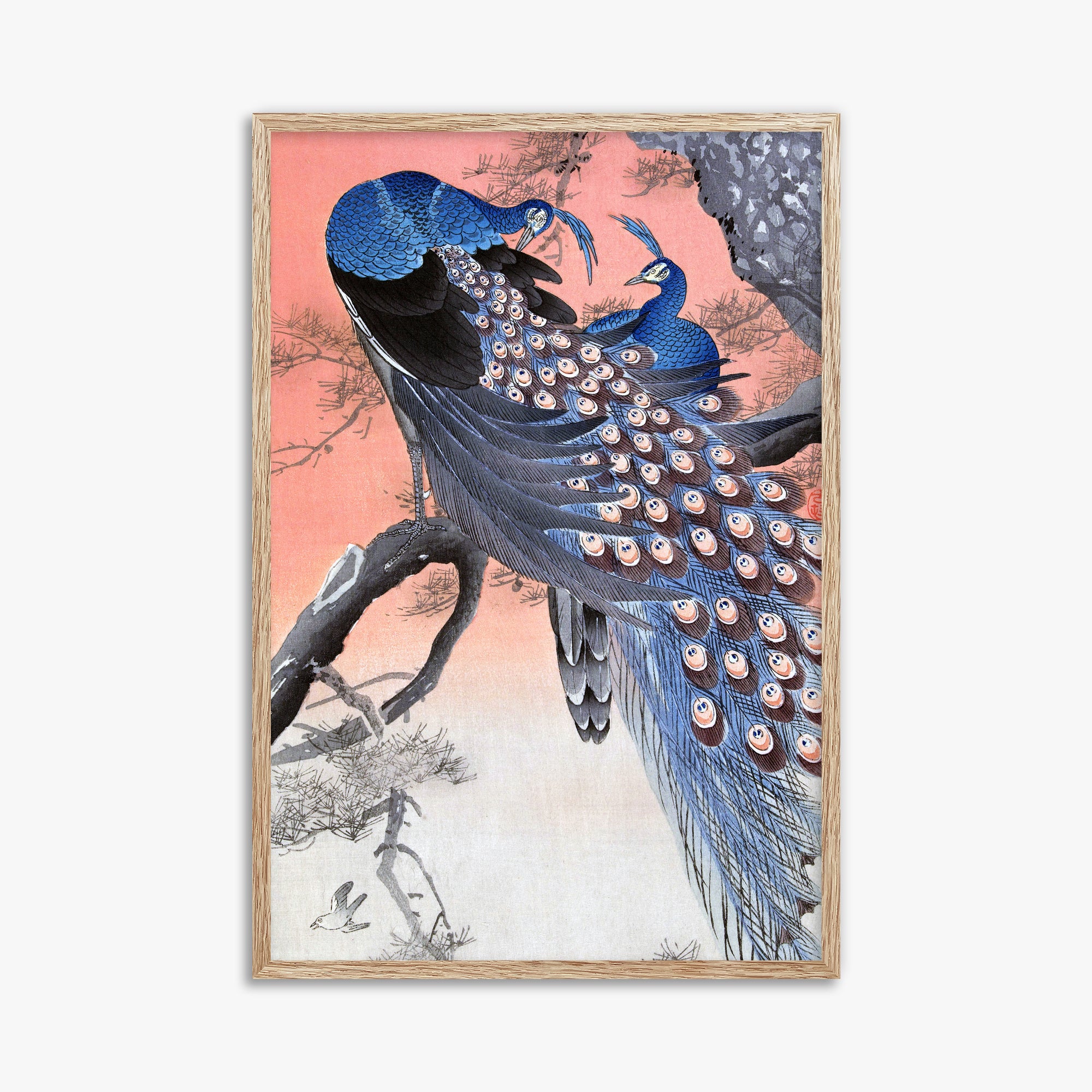 Ohara Koson: Two Peacocks on Tree Branch, 61x91cm Framed Art Reproduction With Raw Oak Frame