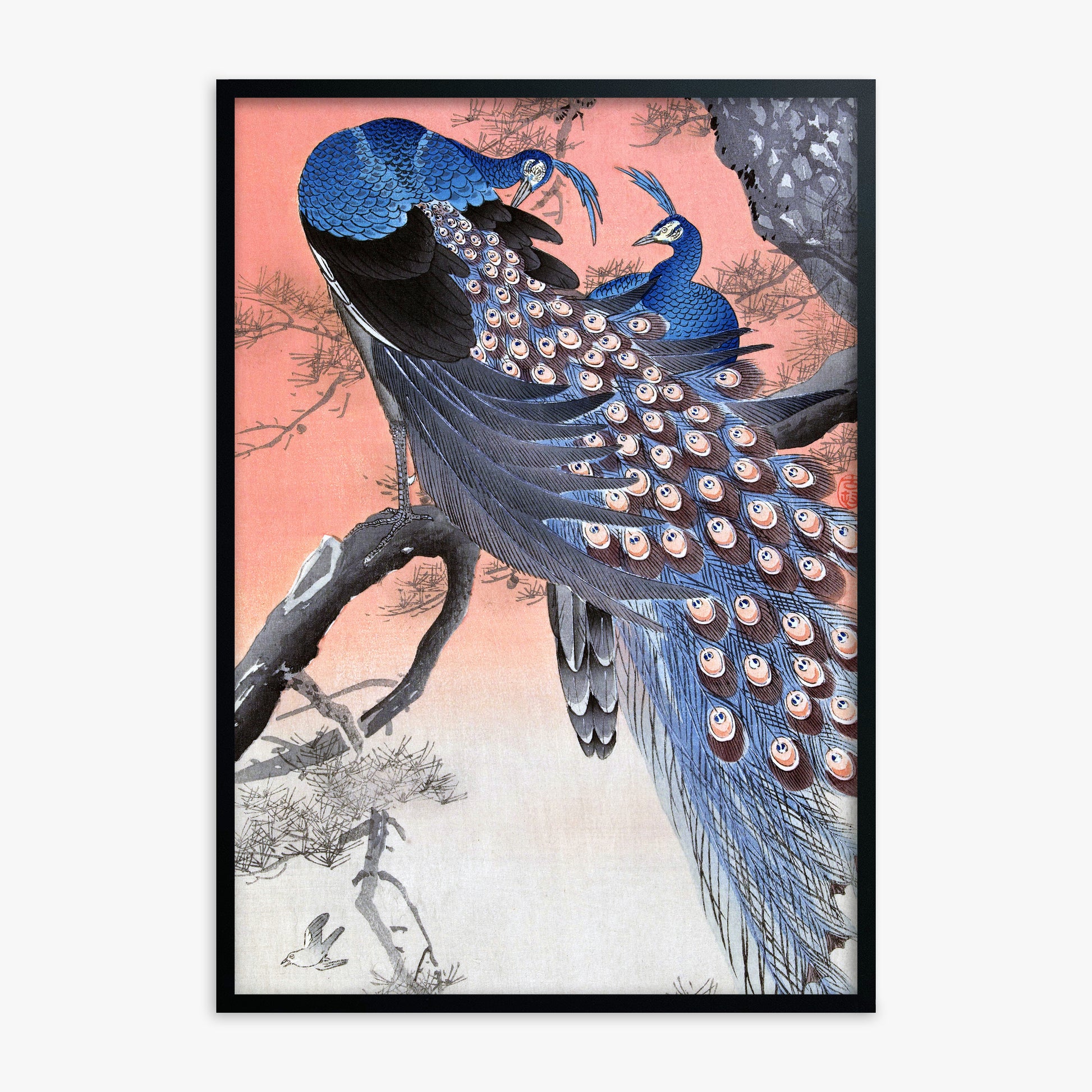 Ohara Koson: Two Peacocks on Tree Branch, Black Framed Art Reproduction With Black Frame