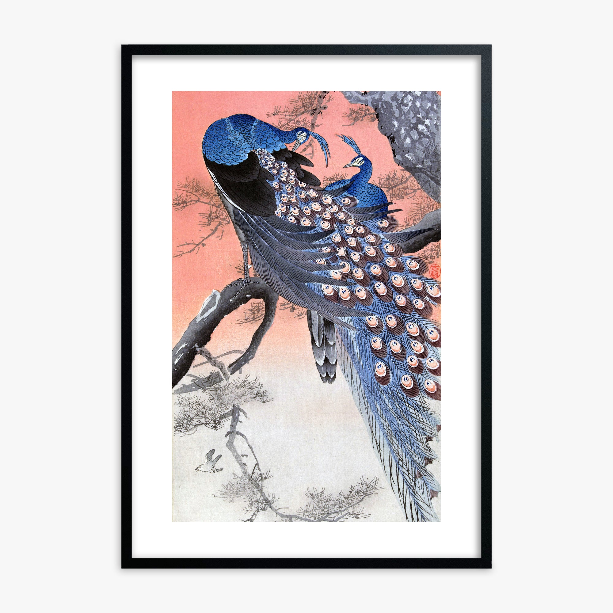Ohara Koson: Two Peacocks on Tree Branch, Black Framed Art Reproduction With Black Frame