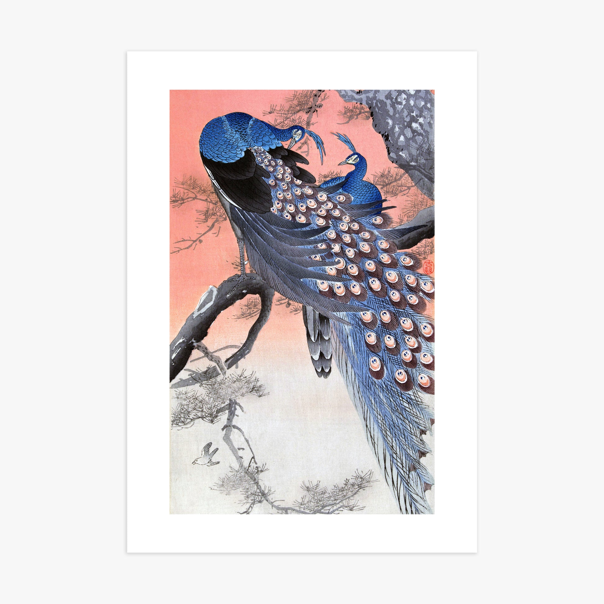 Ohara Koson: Two Peacocks on Tree Branch, 70x100cm Art Reproduction Unframed