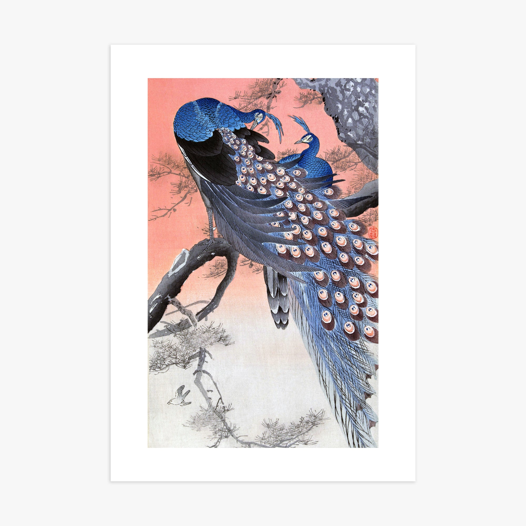 Ohara Koson: Two Peacocks on Tree Branch, 70x100cm Art Reproduction Unframed