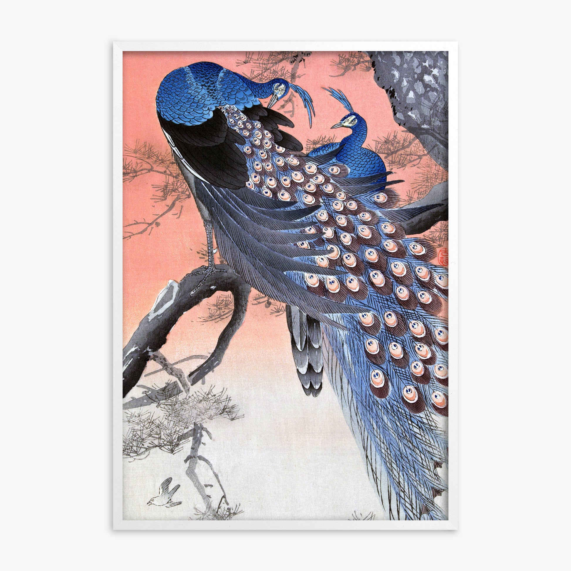 Ohara Koson: Two Peacocks on Tree Branch, White Framed Art Reproduction With White Frame
