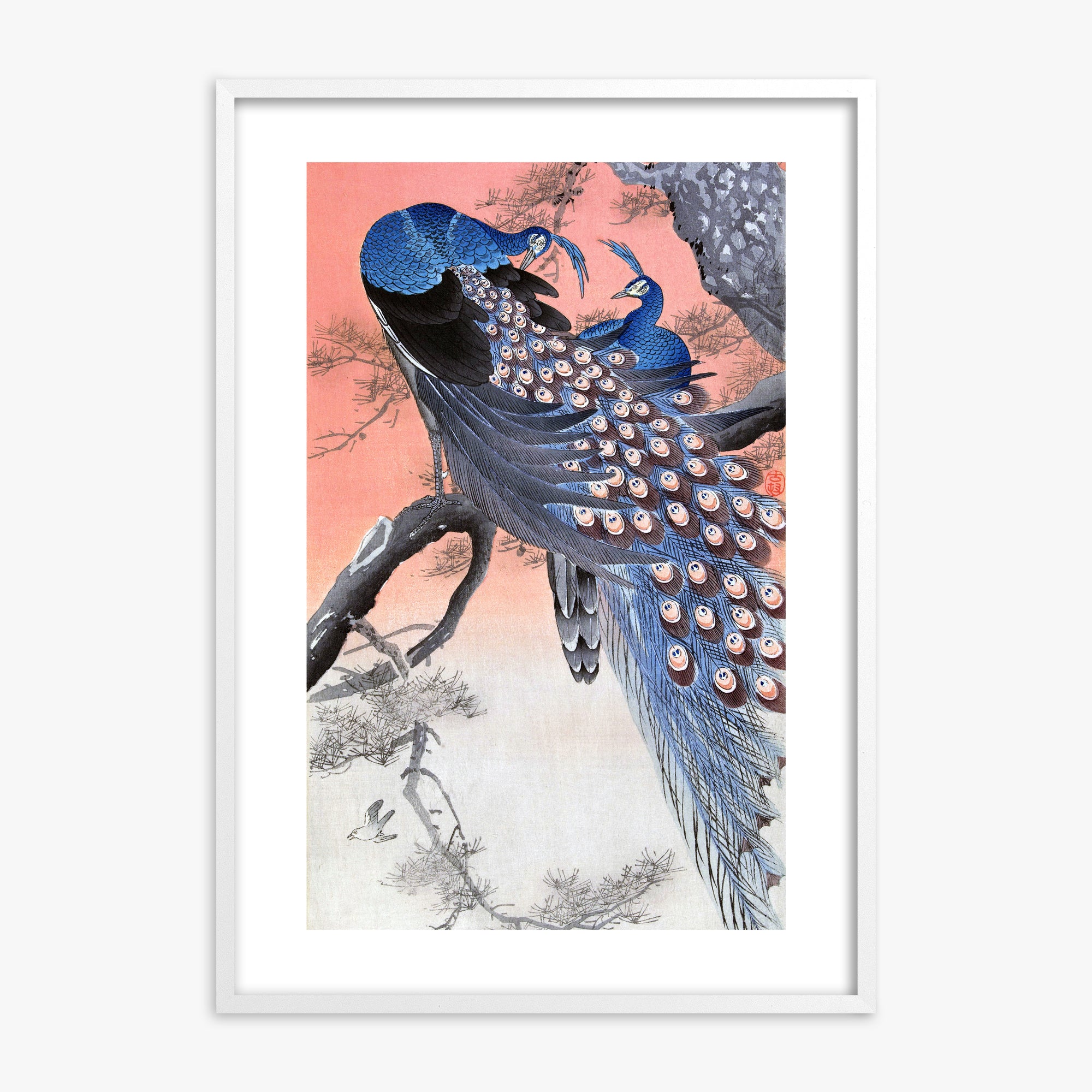 Ohara Koson: Two Peacocks on Tree Branch, White Framed Art Reproduction With White Frame