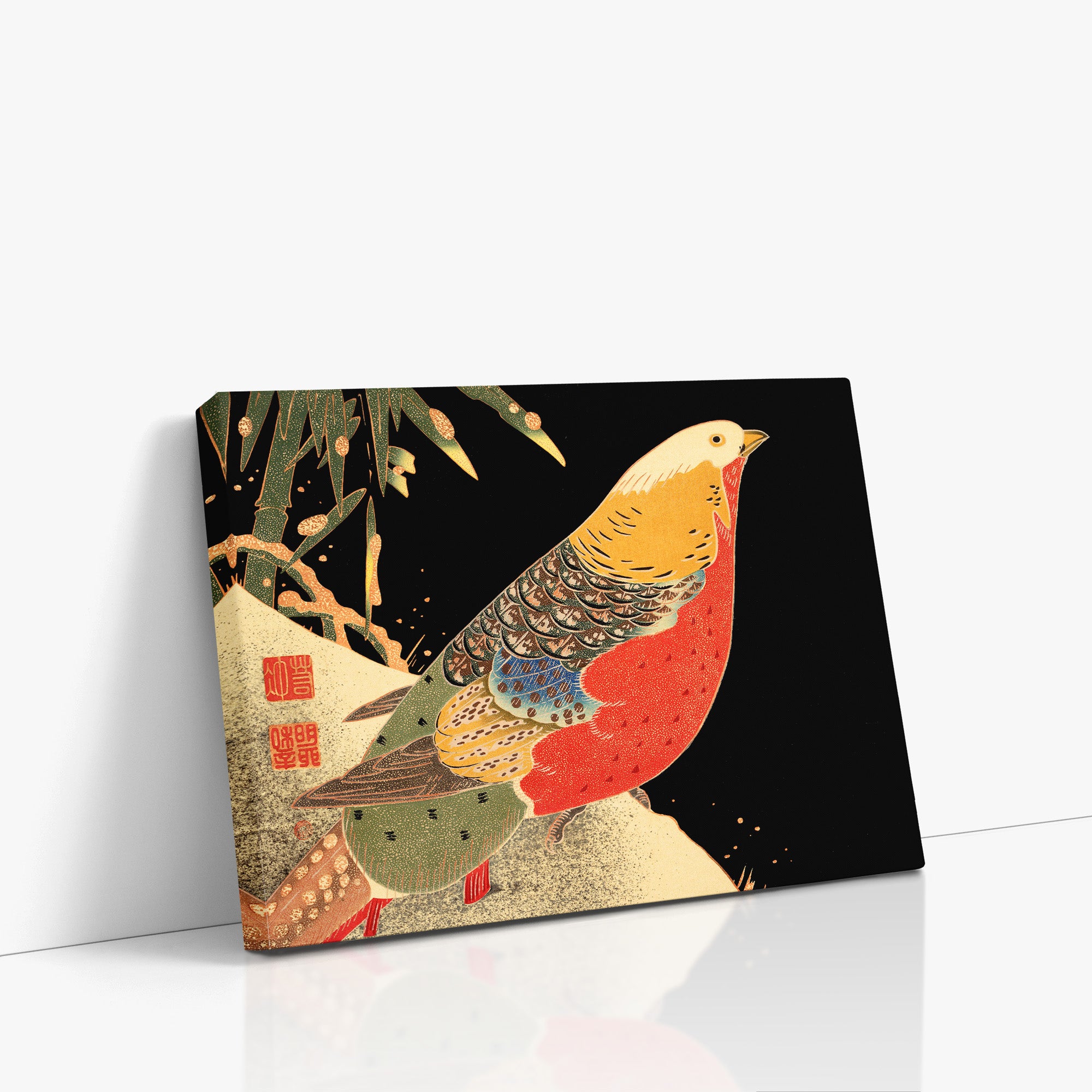 Golden Pheasant in the Snow