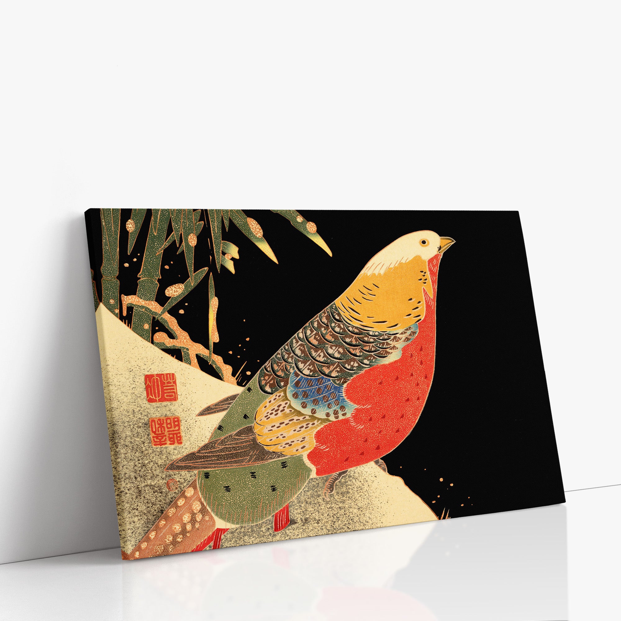 Golden Pheasant in the Snow