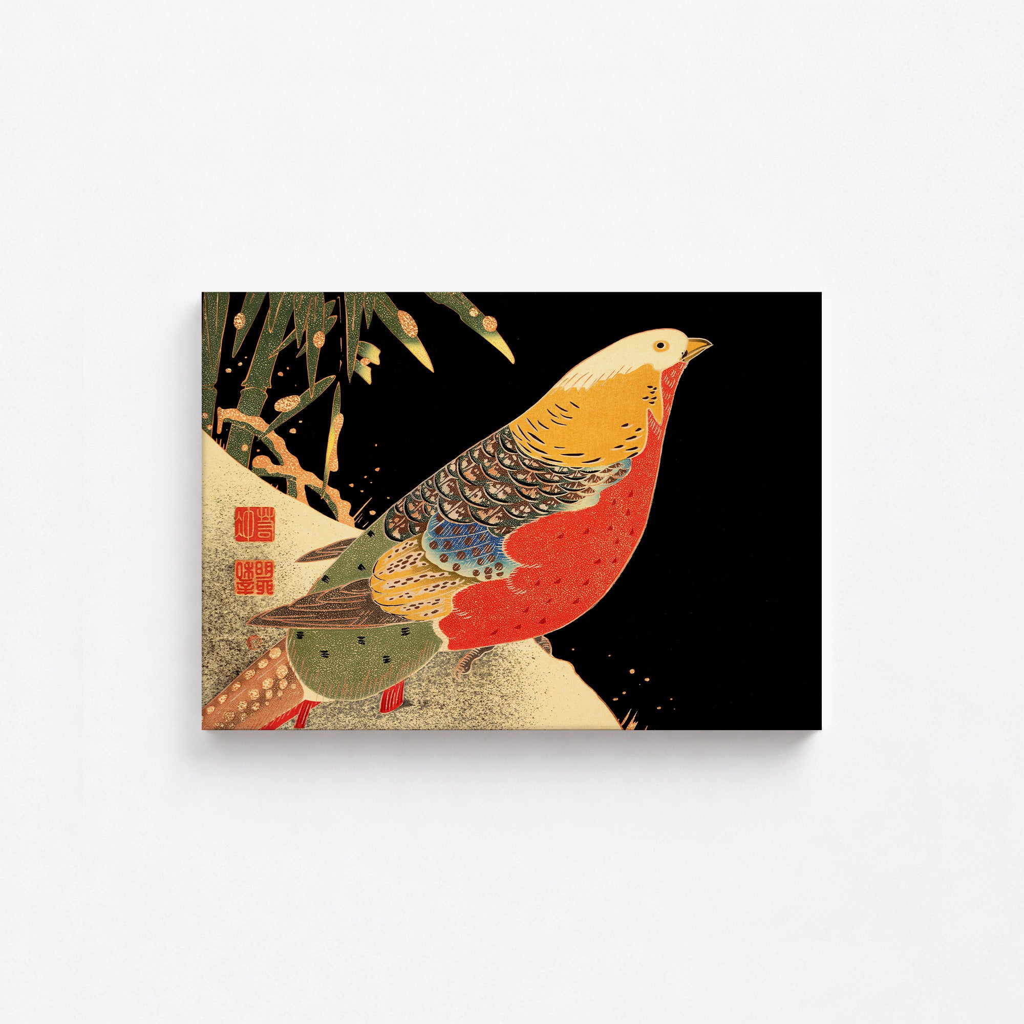 Golden Pheasant in the Snow