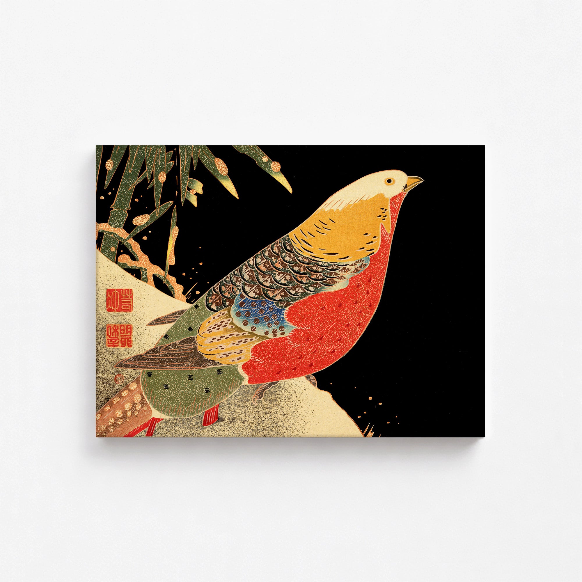 Golden Pheasant in the Snow