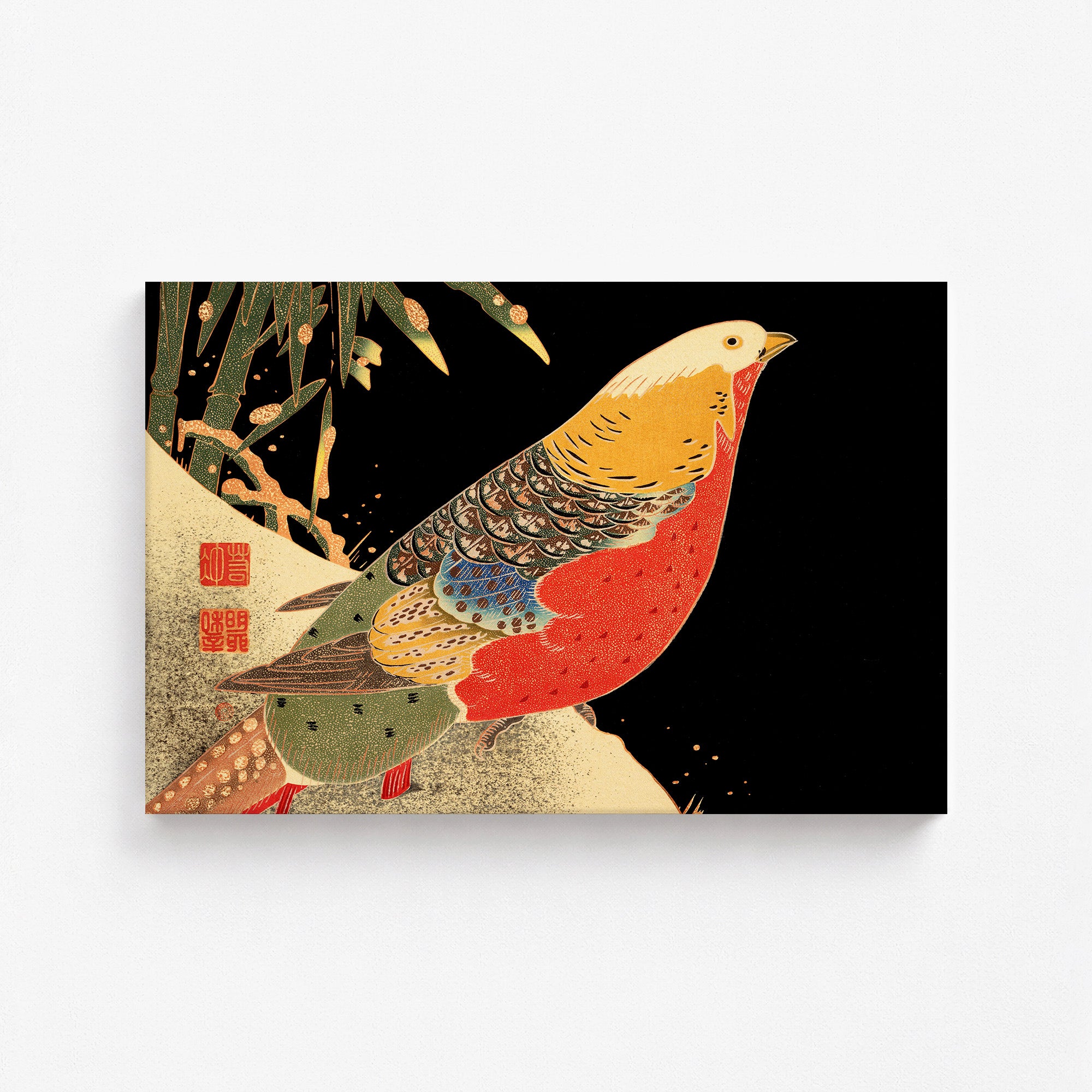 Golden Pheasant in the Snow