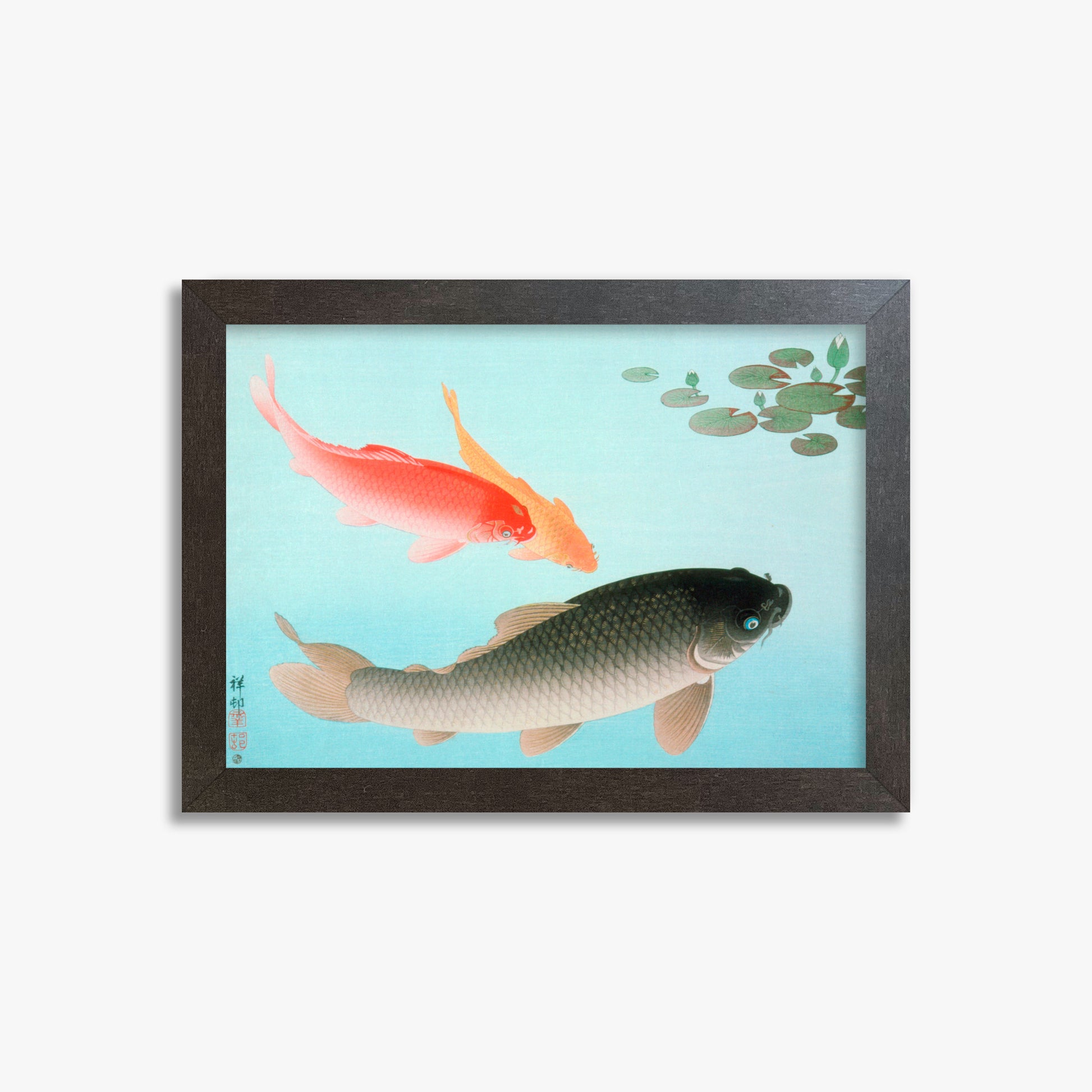 Ohara Koson: Common and Golden Carp, 21x30cm Framed Art Reproduction With Espresso Frame