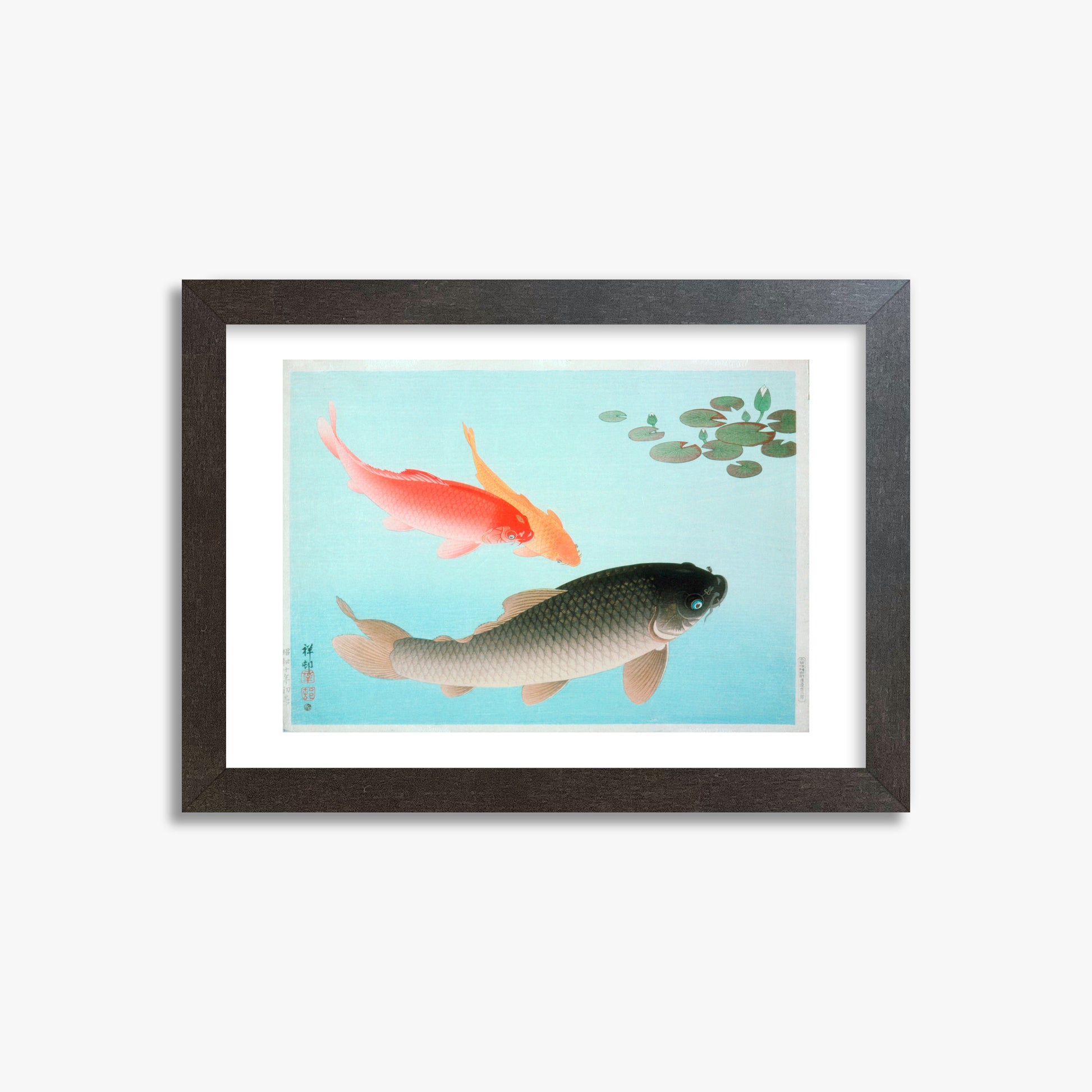 Ohara Koson: Common and Golden Carp, 21x30cm Framed Art Reproduction With Espresso Frame