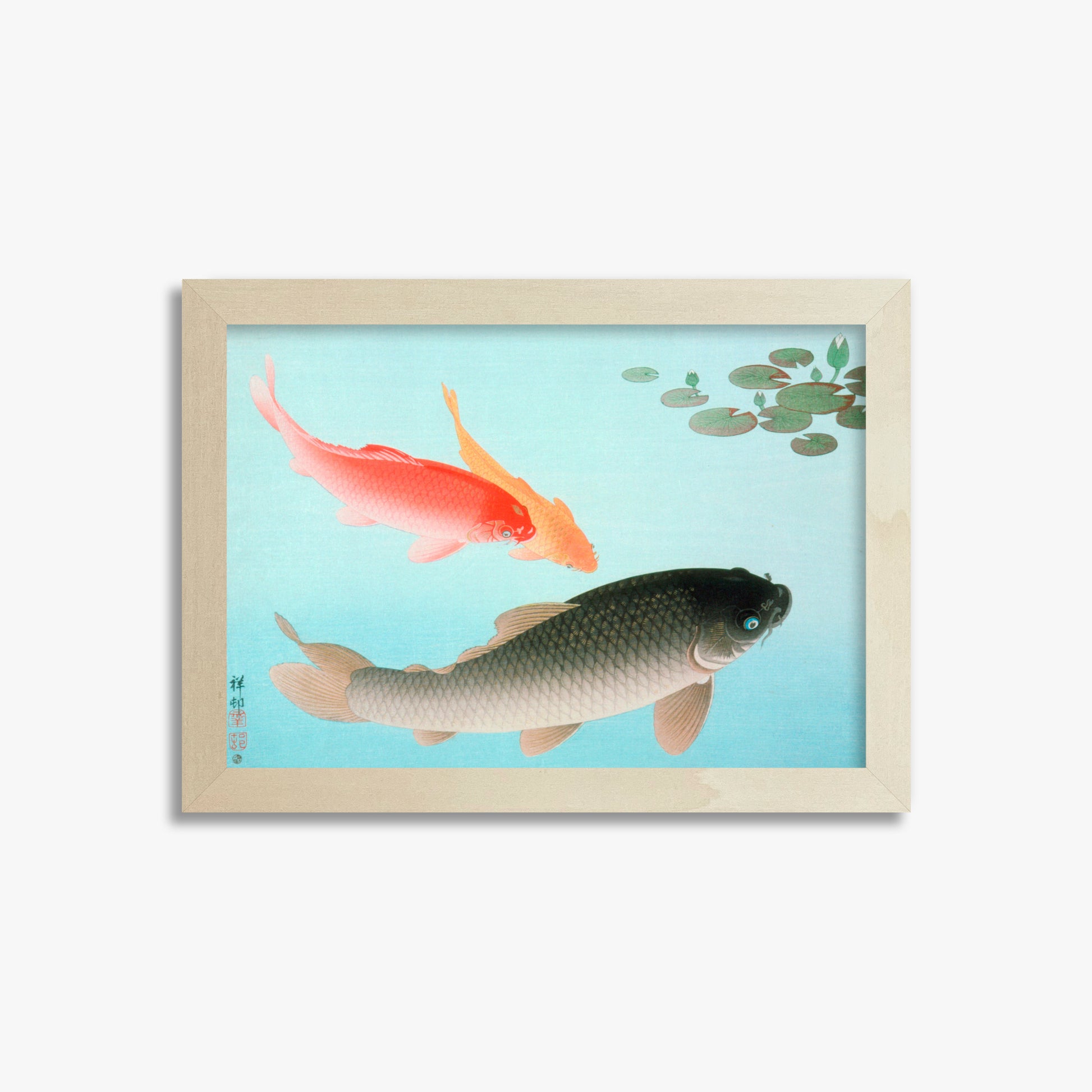 Ohara Koson: Common and Golden Carp, 21x30cm Framed Art Reproduction With Lime Wood Frame